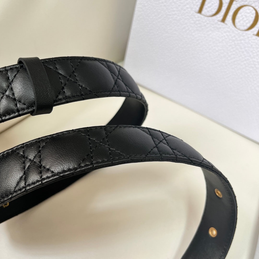 CD BELT