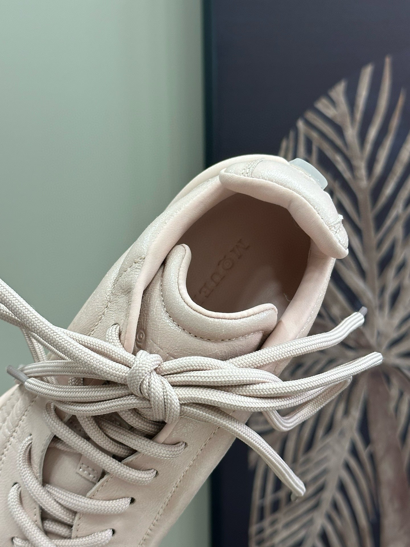 MCQ TRAINERS