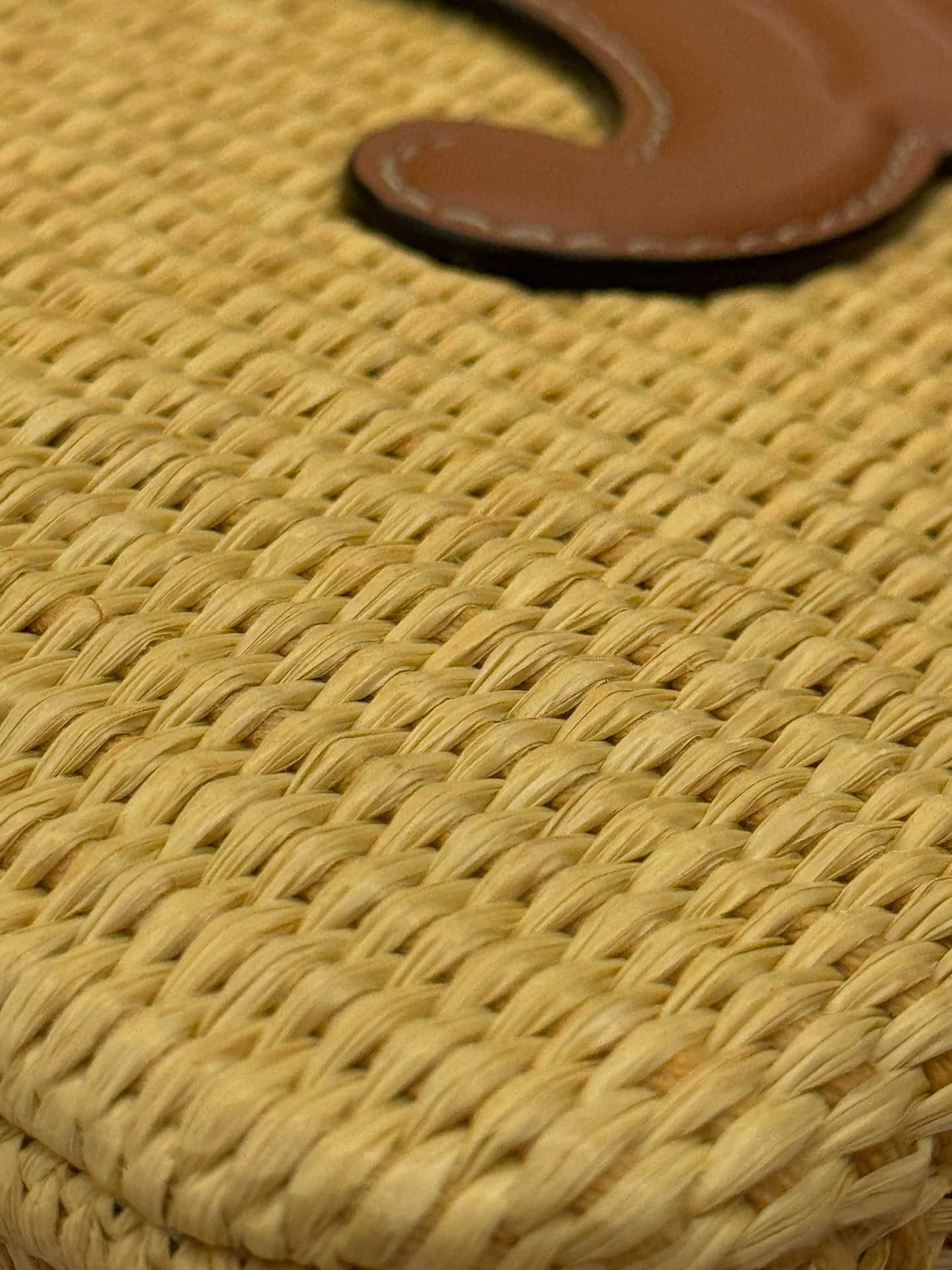CEL SMALL POUCH WITH STRAP