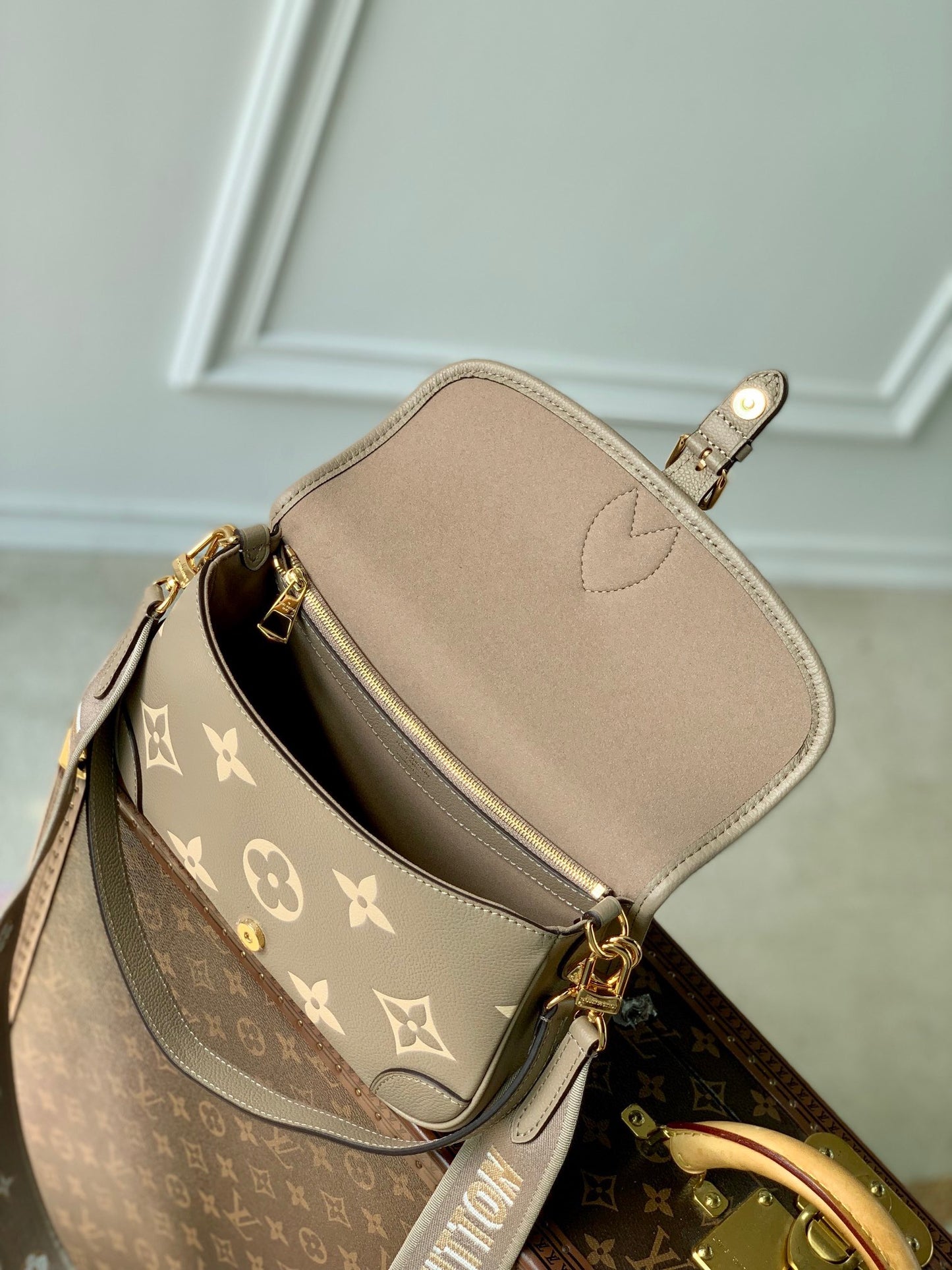 LOU DIANE SATCHEL BAG