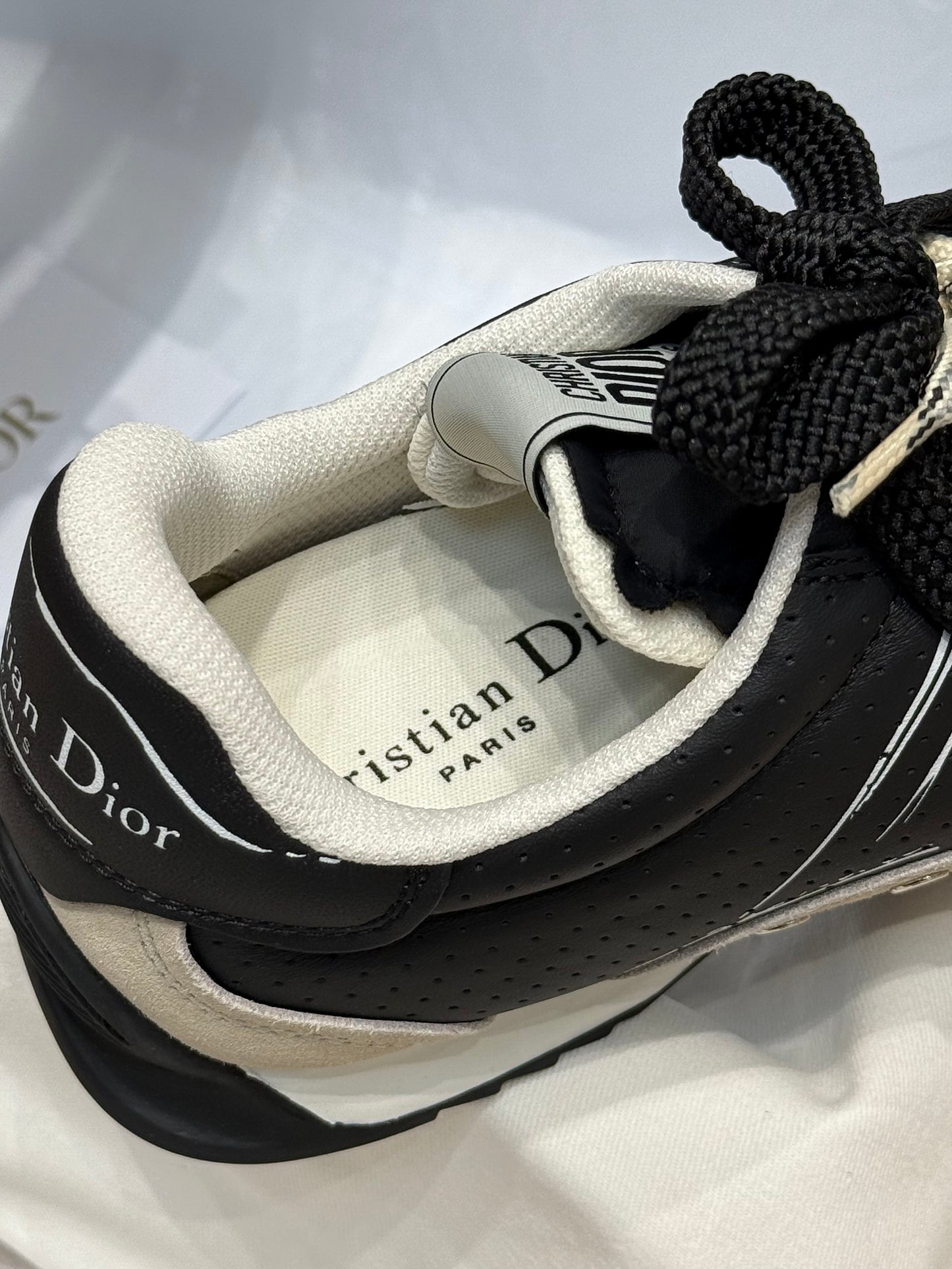CD D-SKETCH SNEAKER