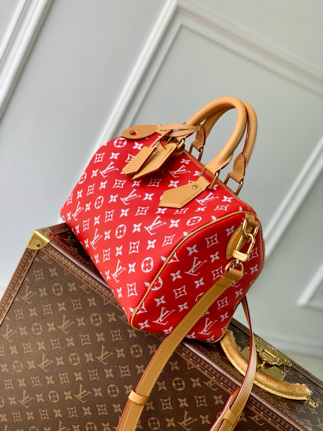 LOU SPEEDY P9 25 BAG
