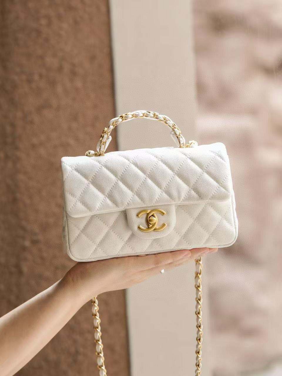 CC 25B CF MINI BAG