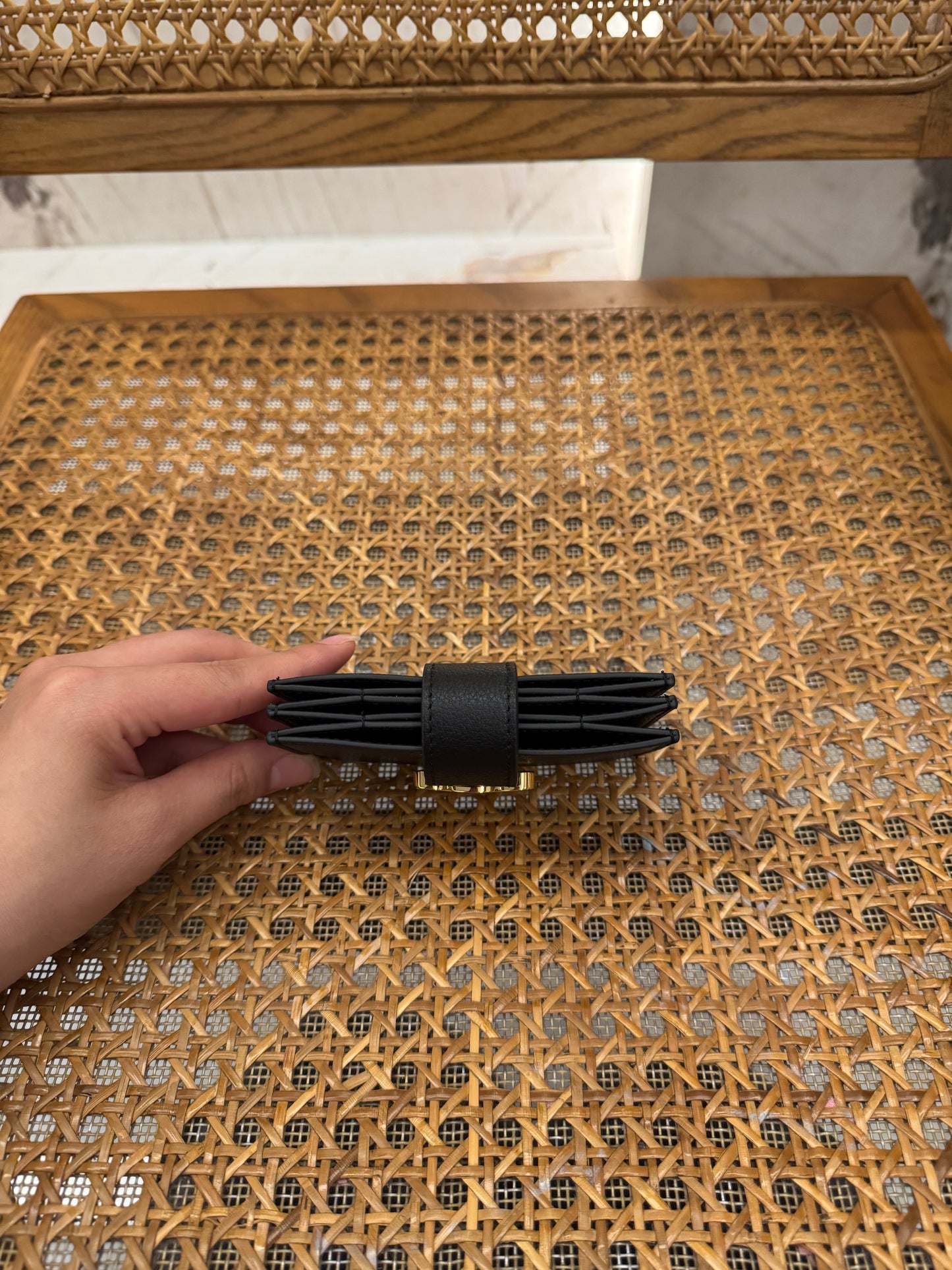 CEL ACCORDEON CARD HOLDER