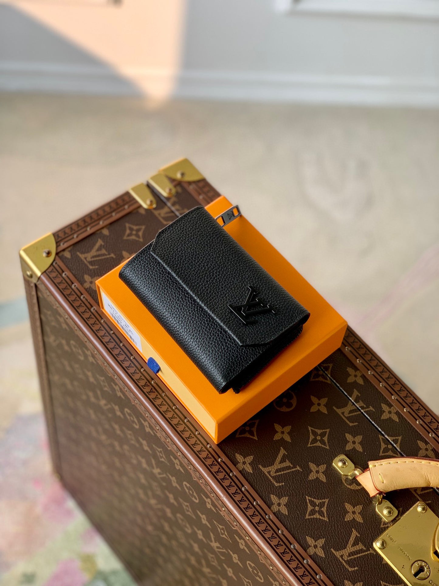 LOU PILOT WALLET