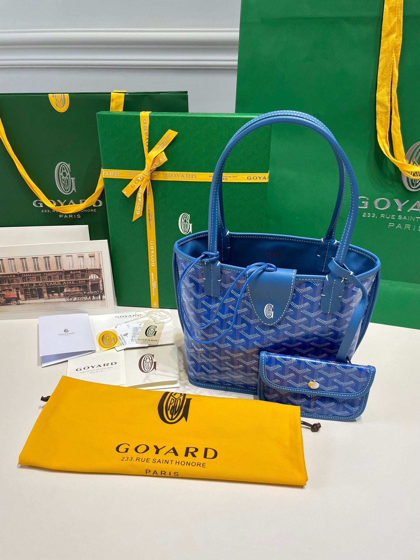 GOYA MINI ANJOU BAG