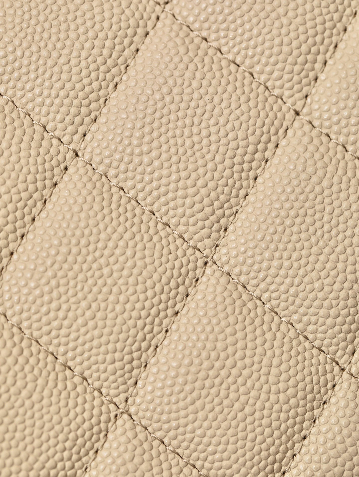 CC 25S BAG