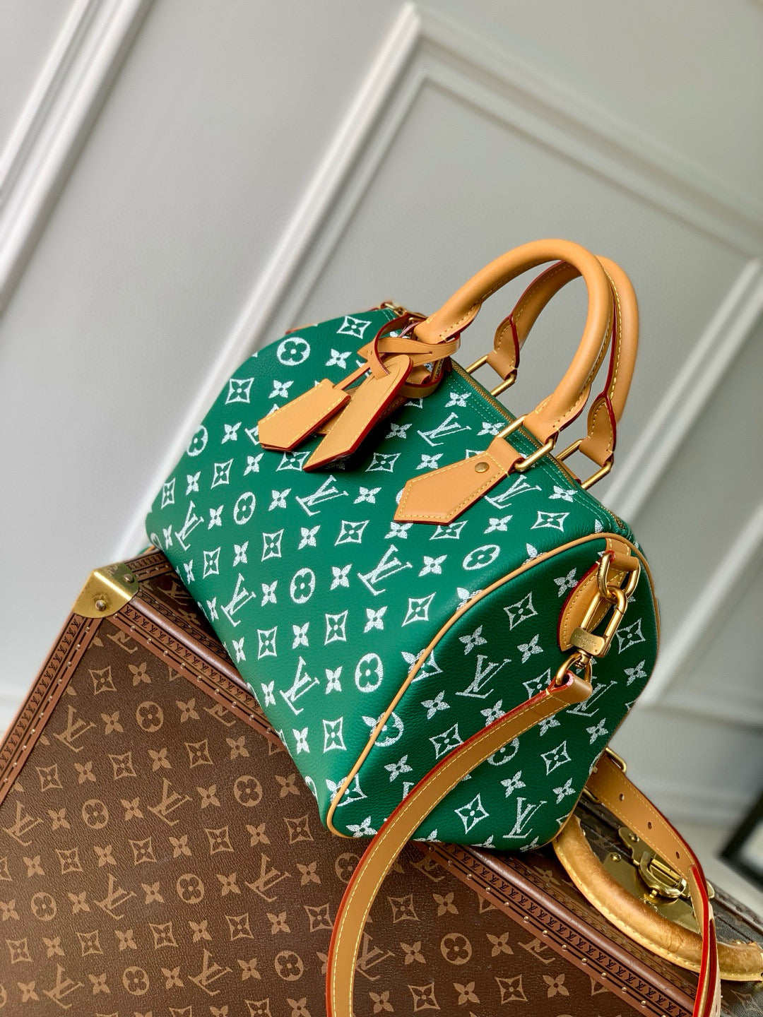 LOU SPEEDY P9 25 BAG
