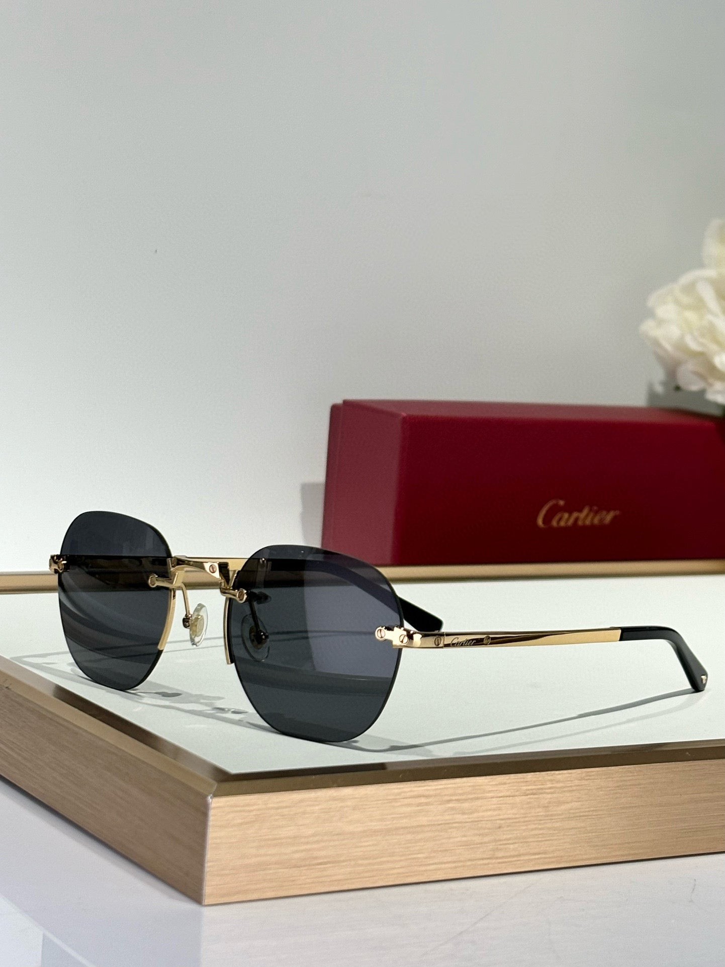CARTIER SUNGLASSES