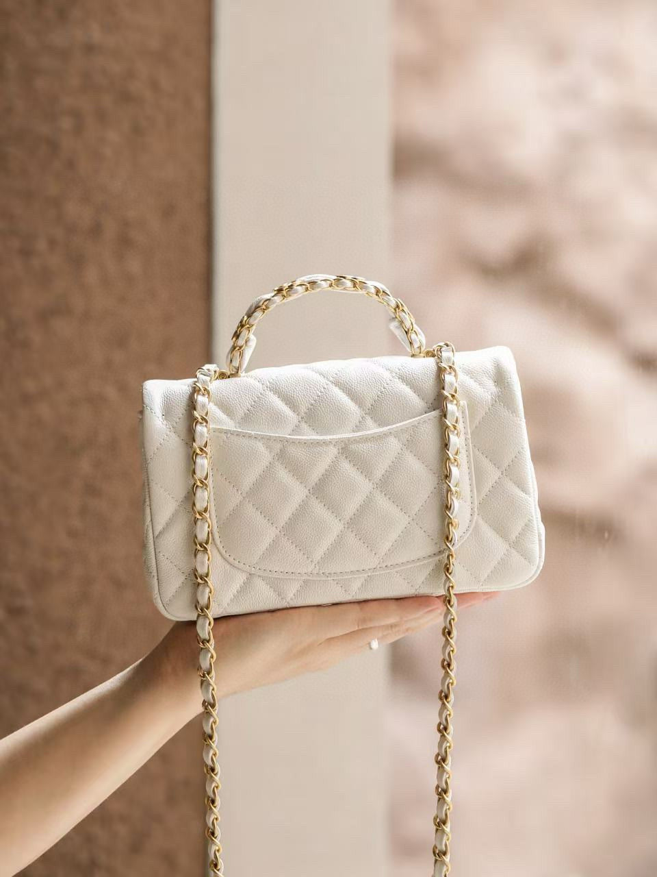 CC 25B CF MINI BAG