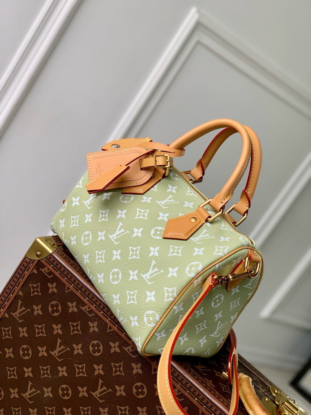 LOU SPEEDY P9 25 BAG