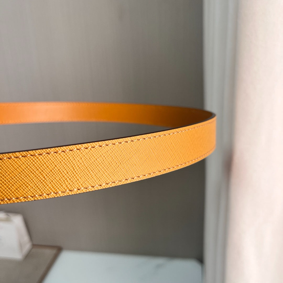 PD BELT 2 CM