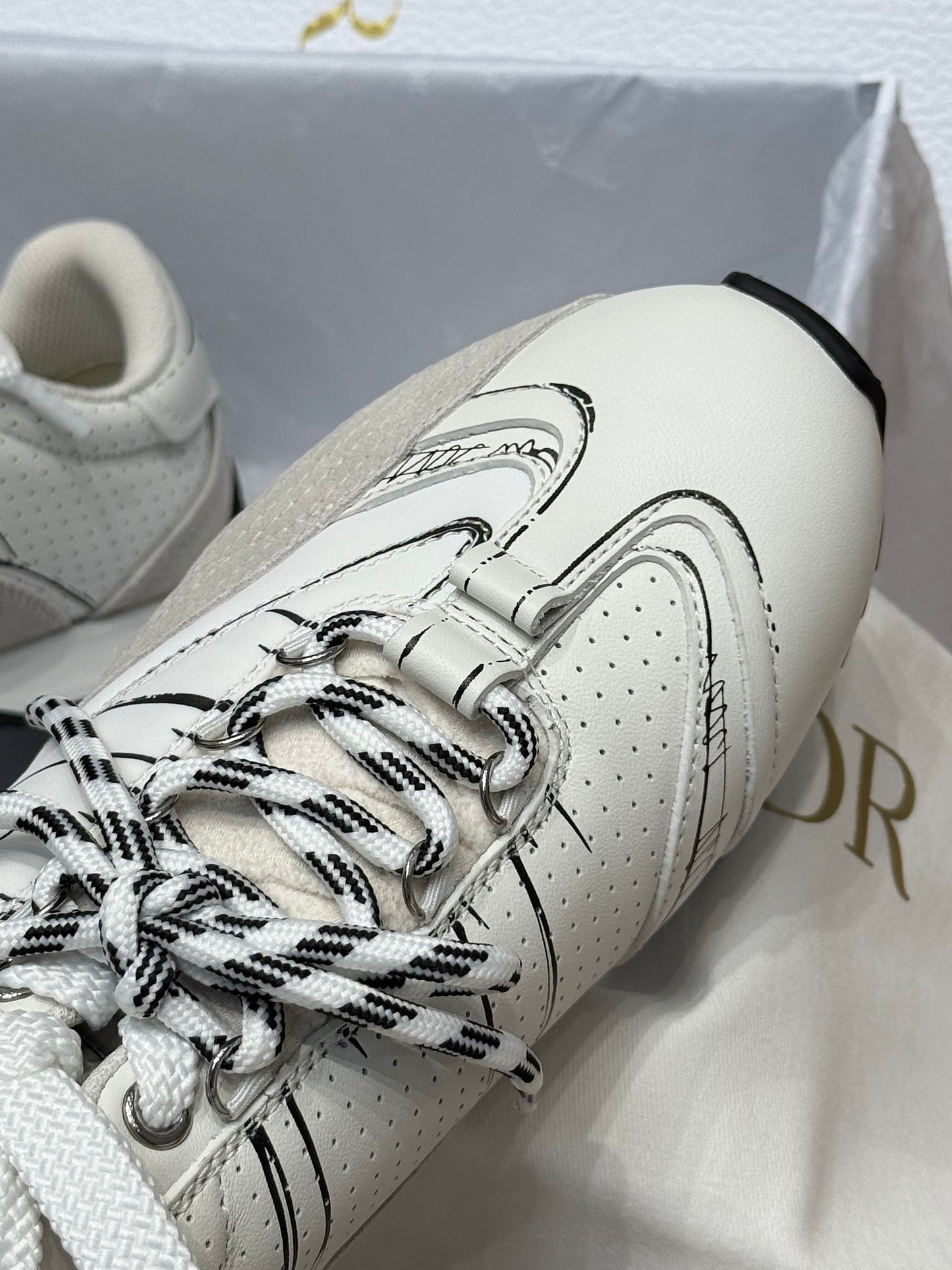 CD D-SKETCH SNEAKER
