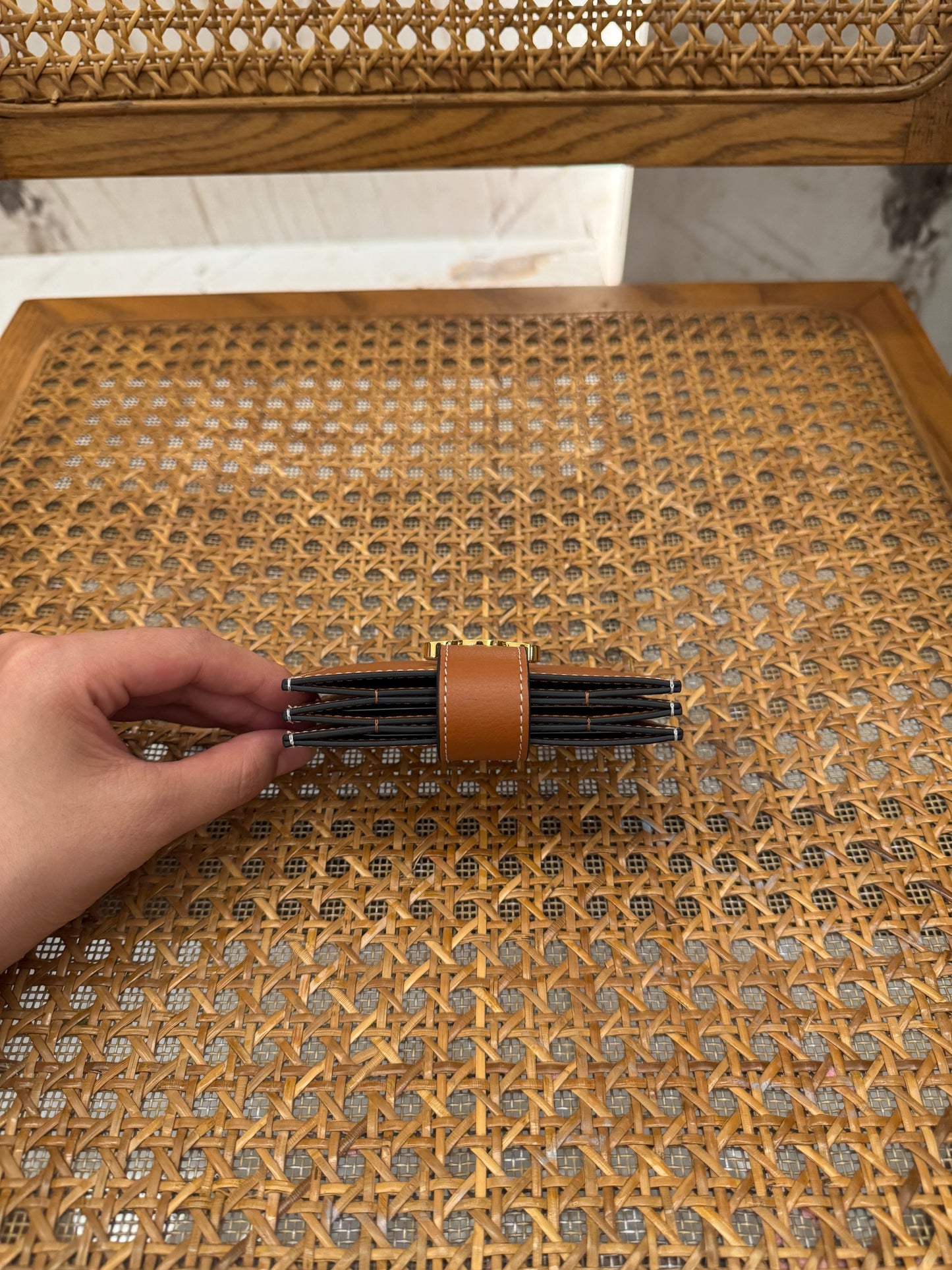 CEL ACCORDEON CARD HOLDER