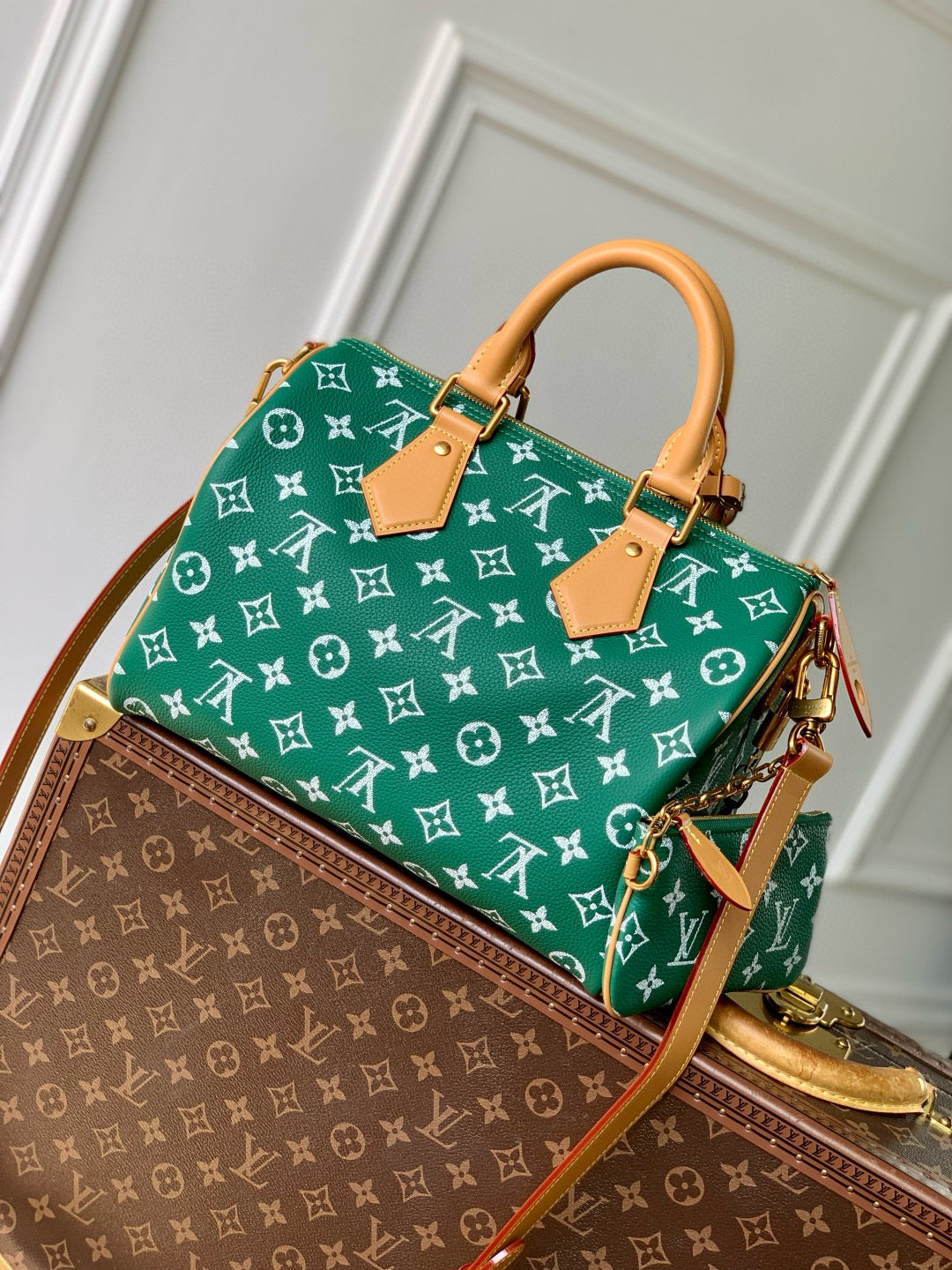 LOU SPEEDY P9 25 BAG
