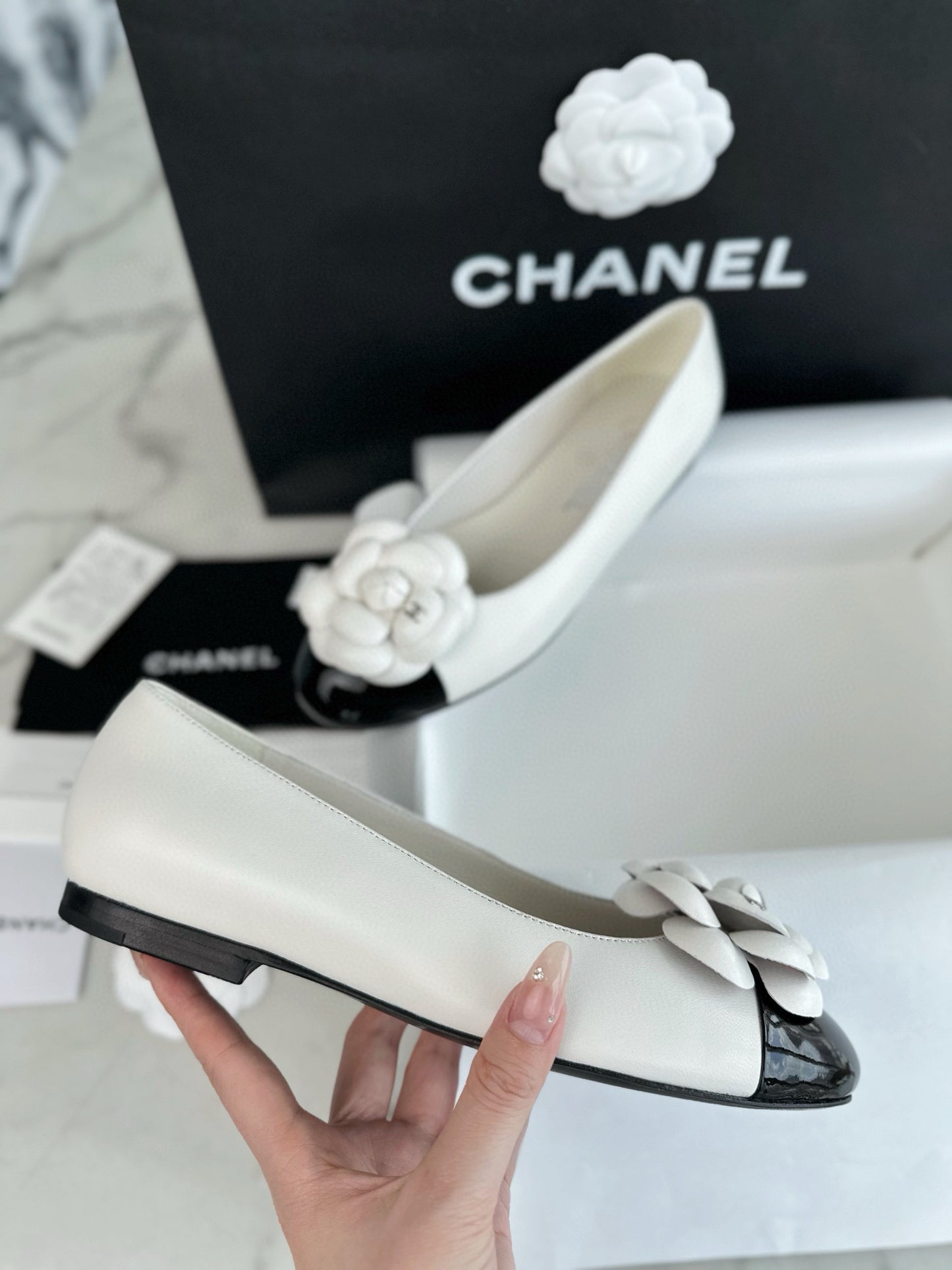 CC BALLET PUMPS