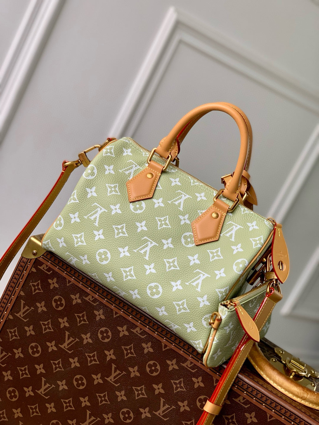 LOU SPEEDY P9 25 BAG