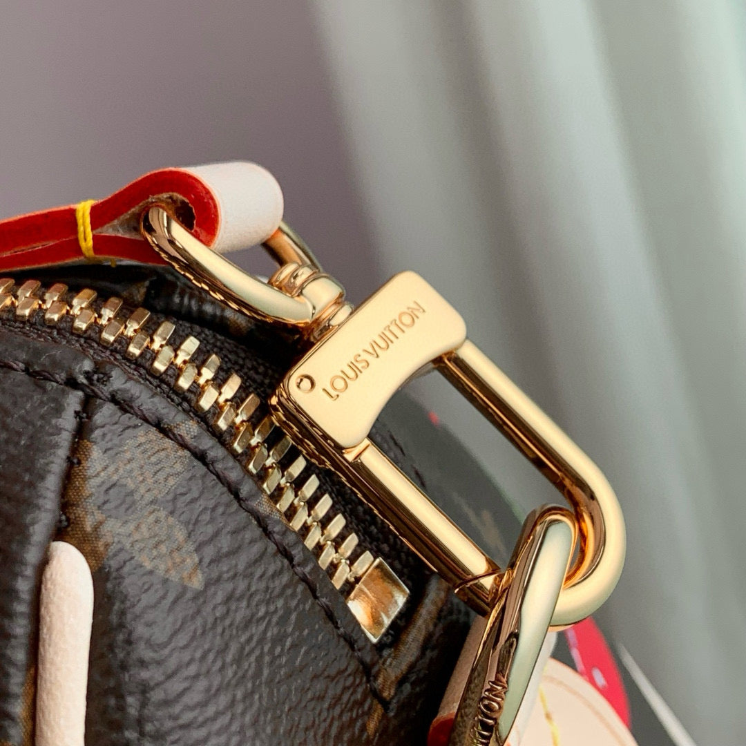 LOU x MURAKAMI SPEEDY 20 BAG