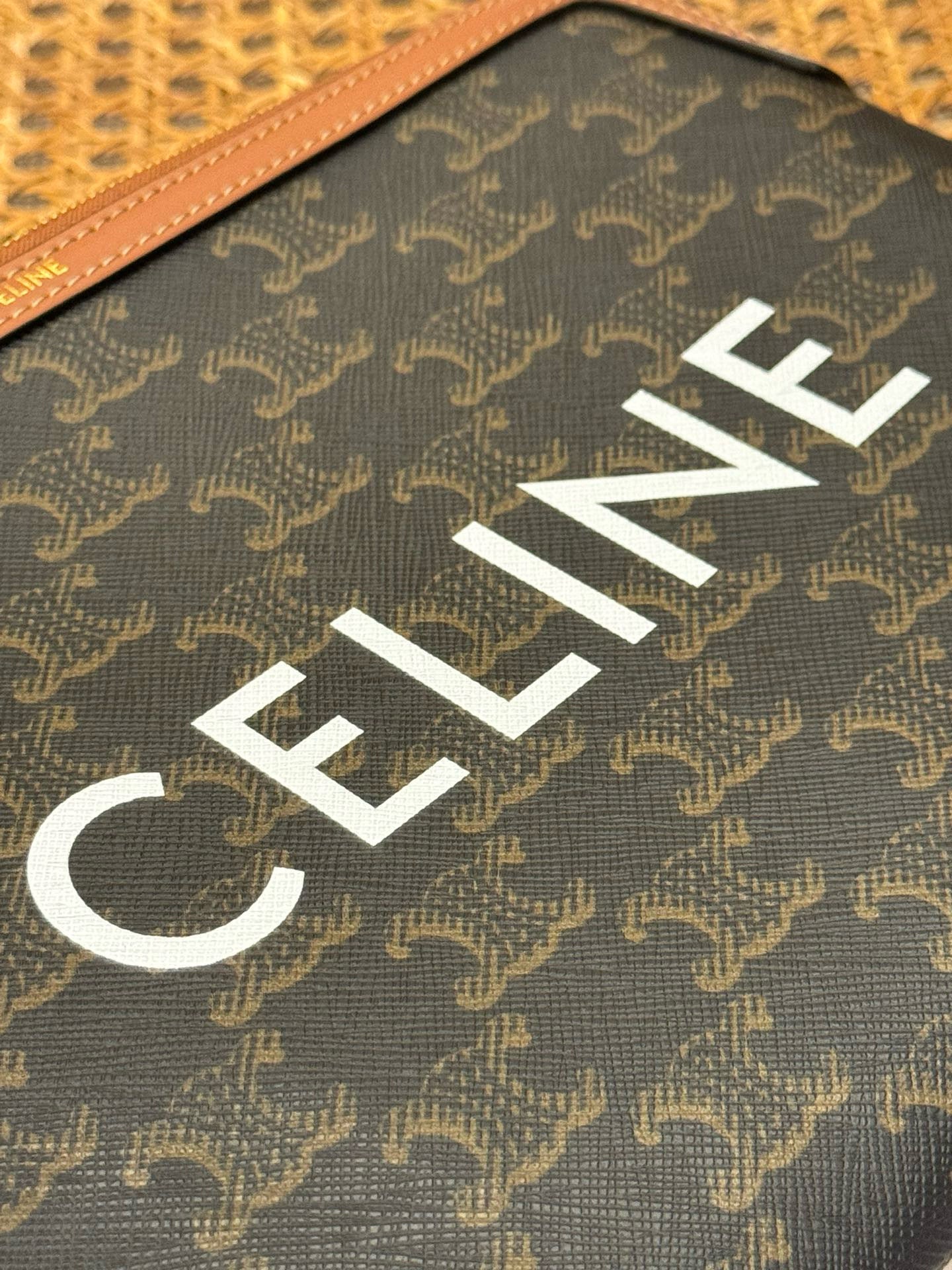 CEL SMALL POUCH WITH STRAP