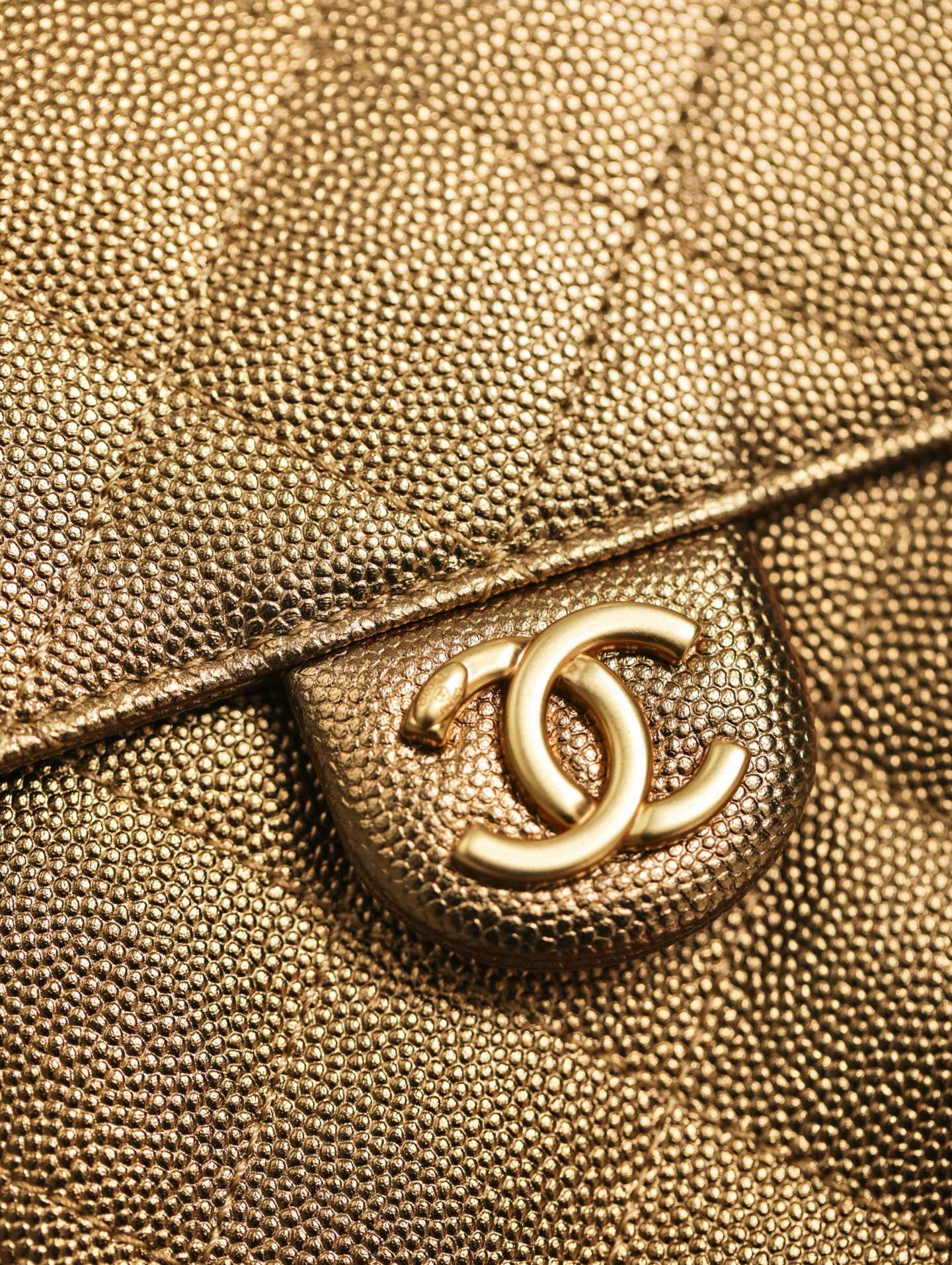 CC 25C BAG