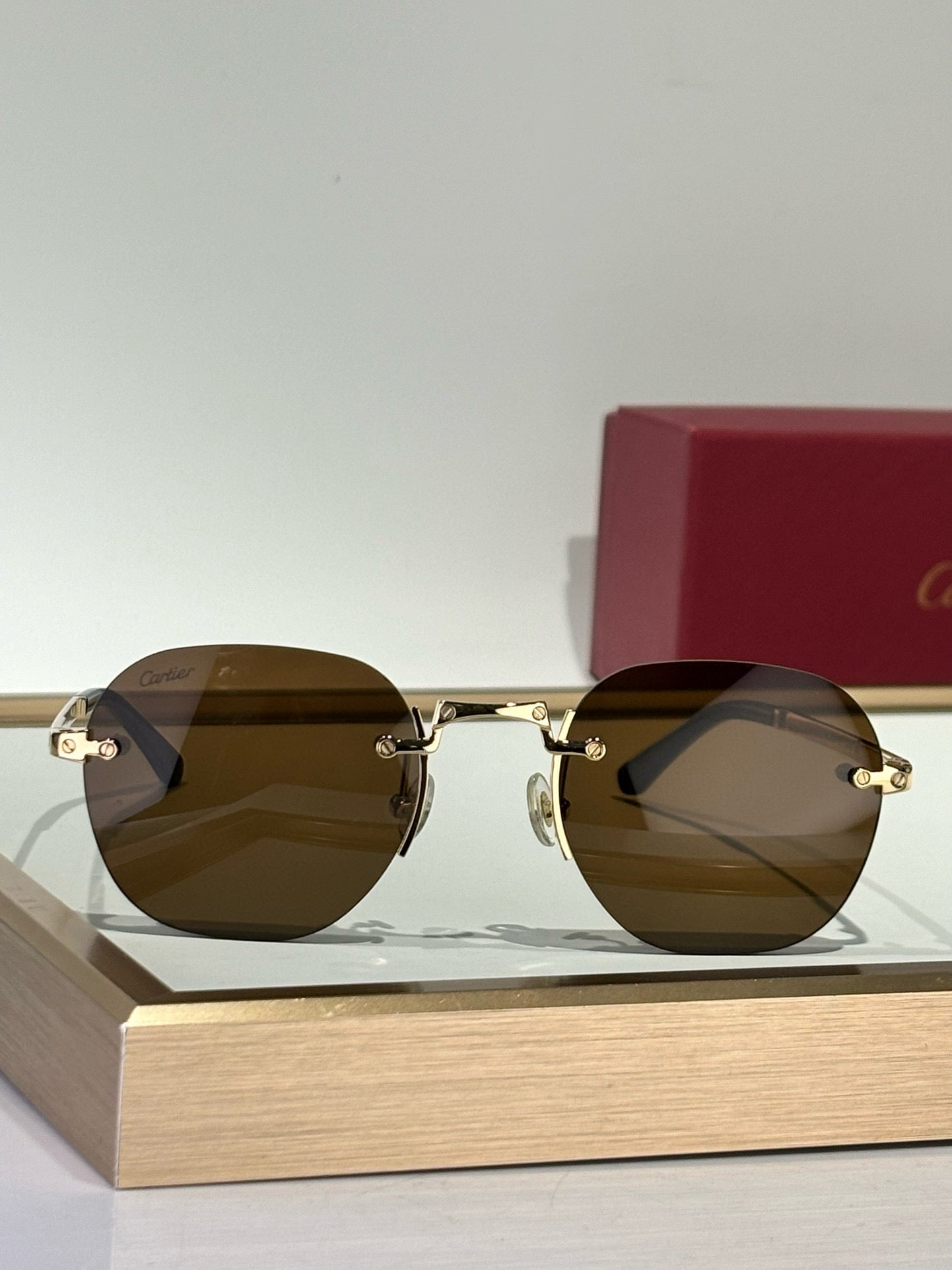 CARTIER SUNGLASSES