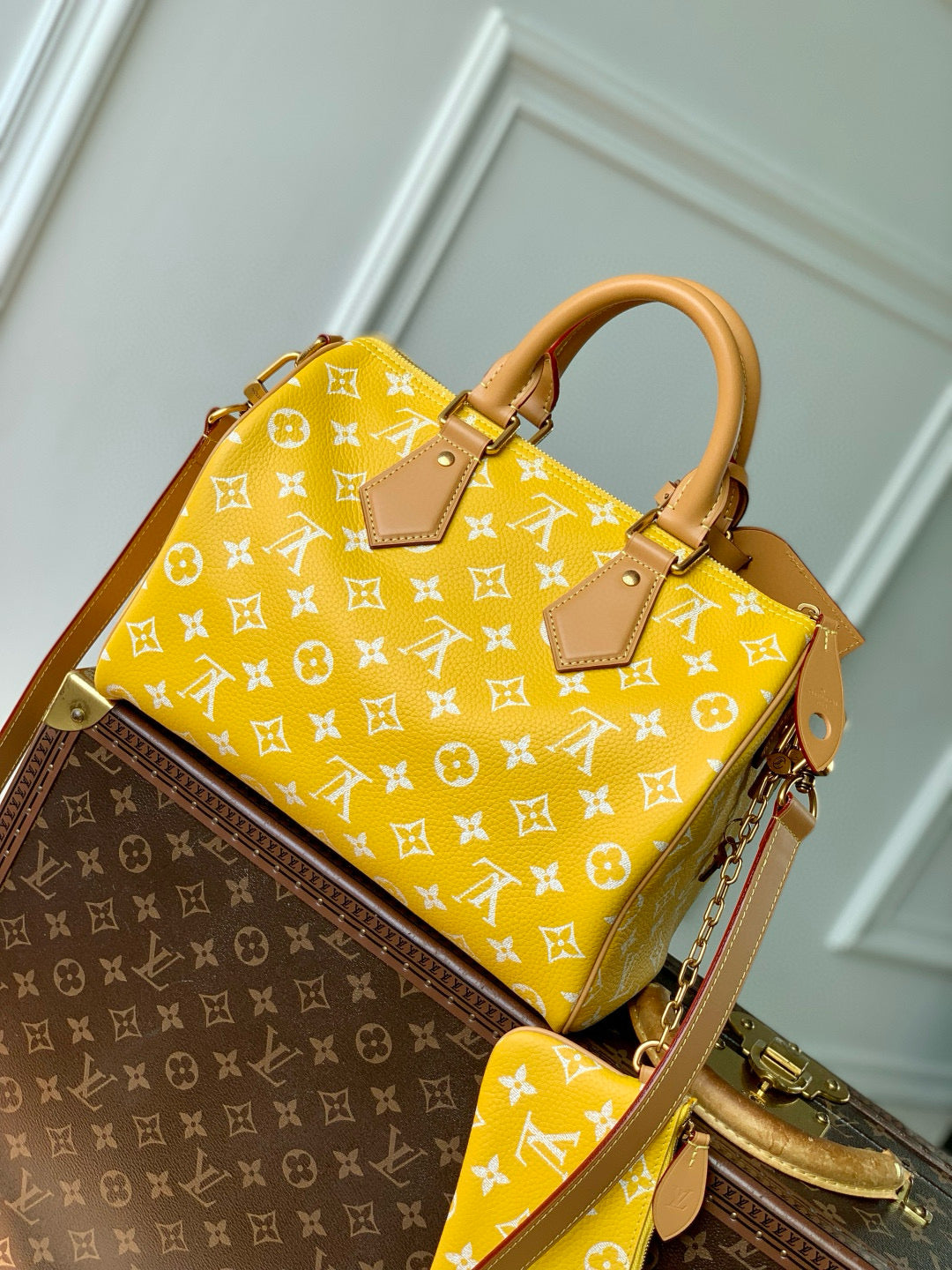 LOU SPEEDY P9 25 BAG