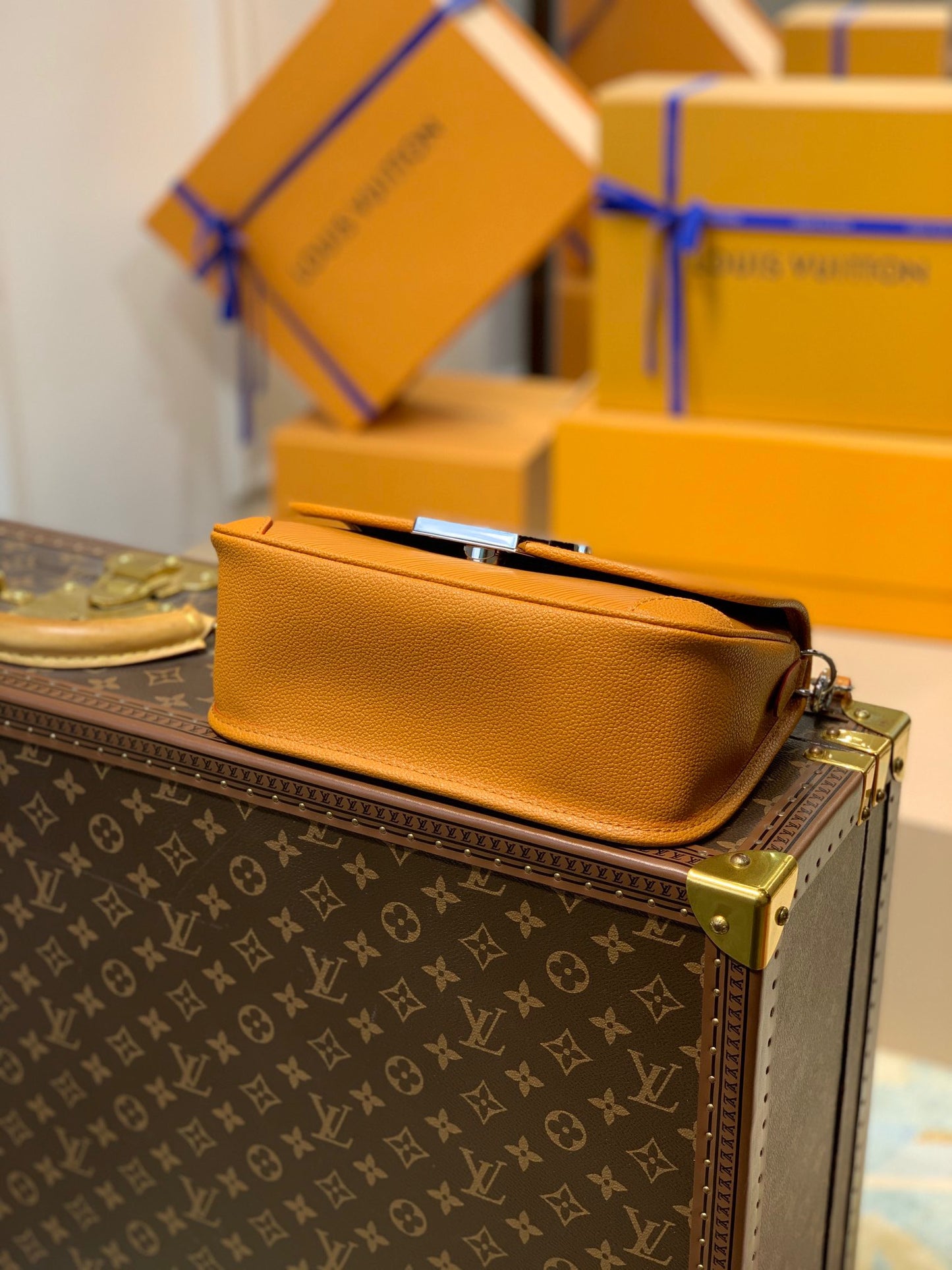 LOU BUCI BAG