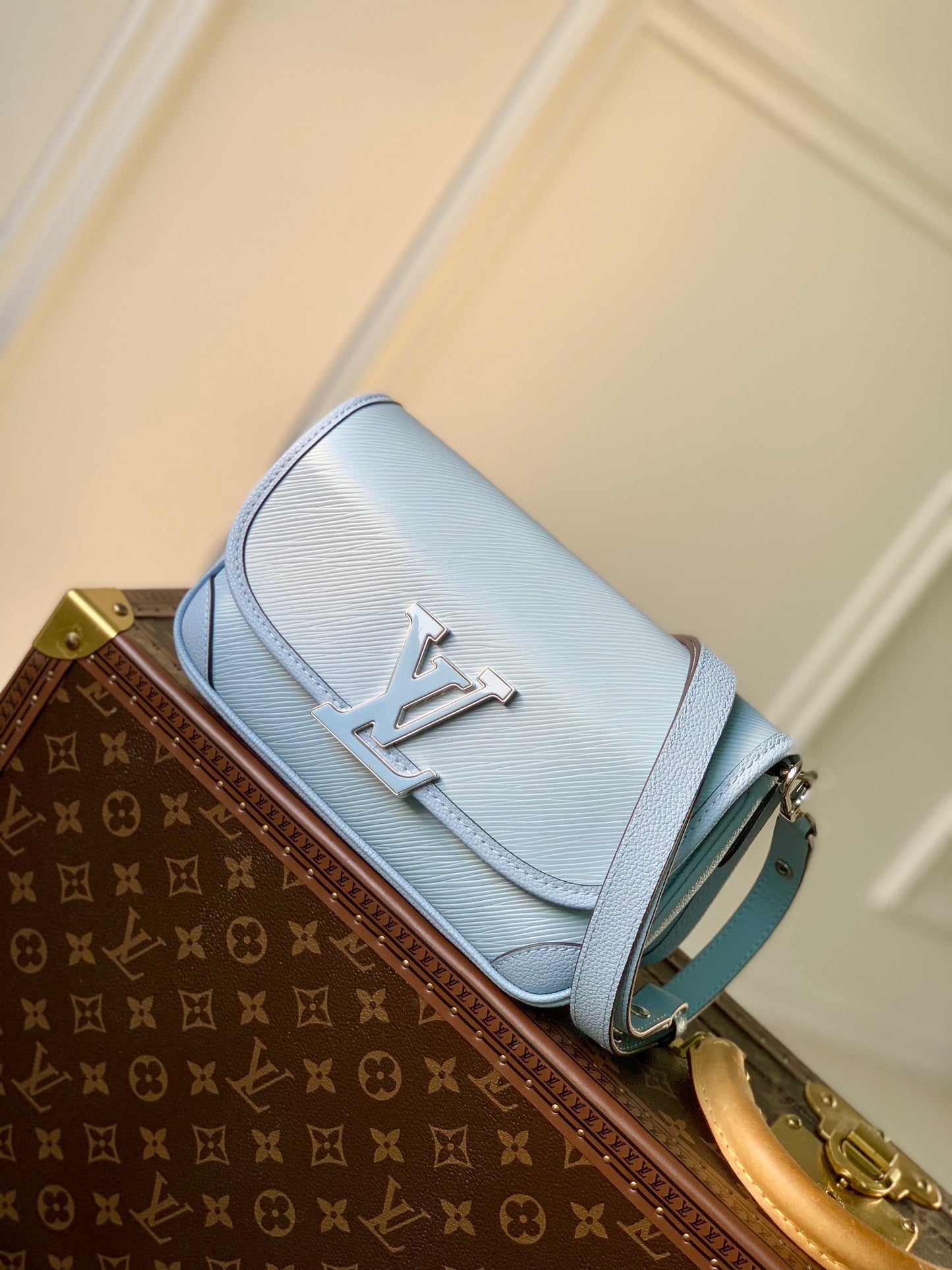 LOU BUCI BAG