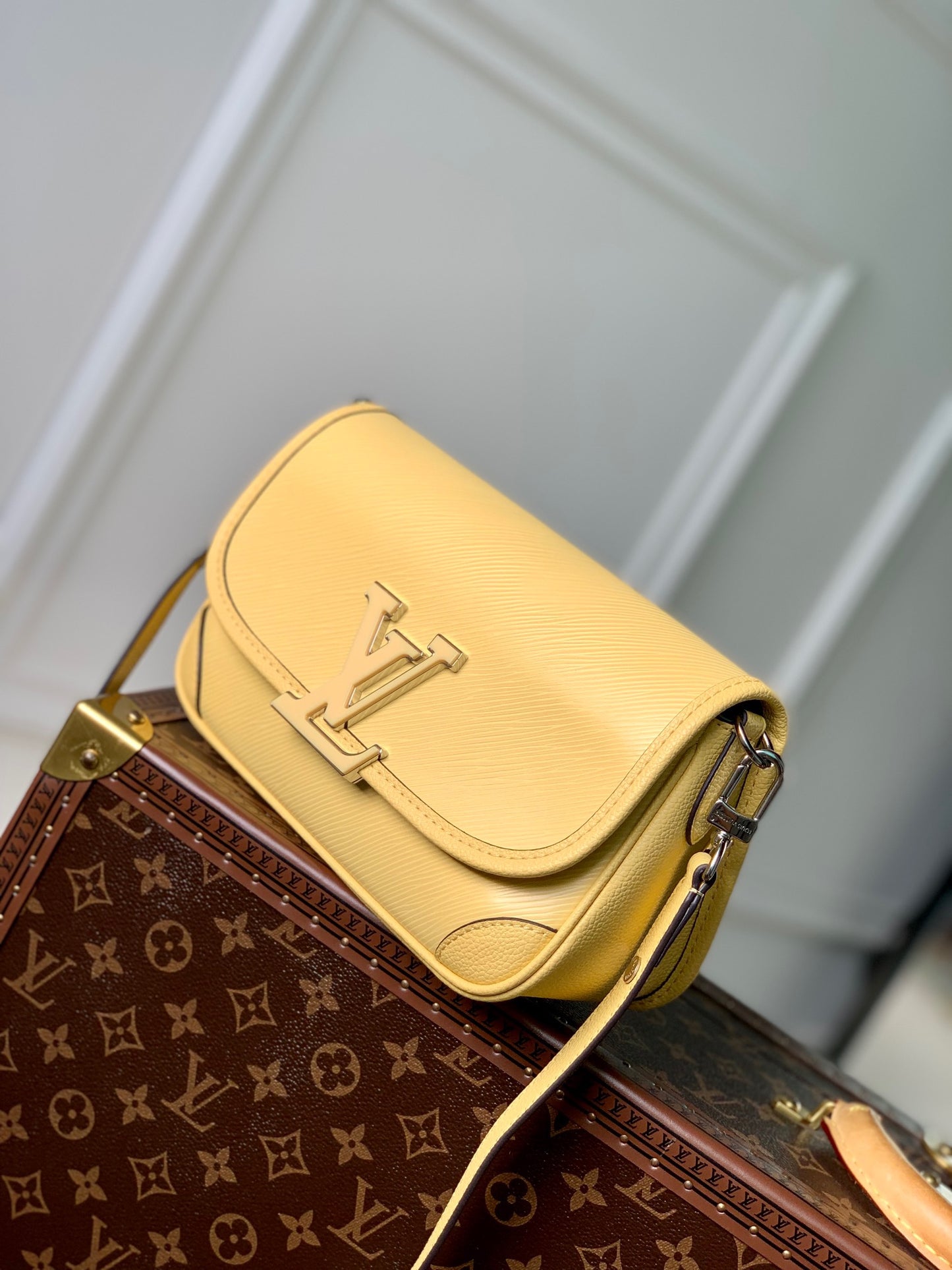 LOU BUCI BAG