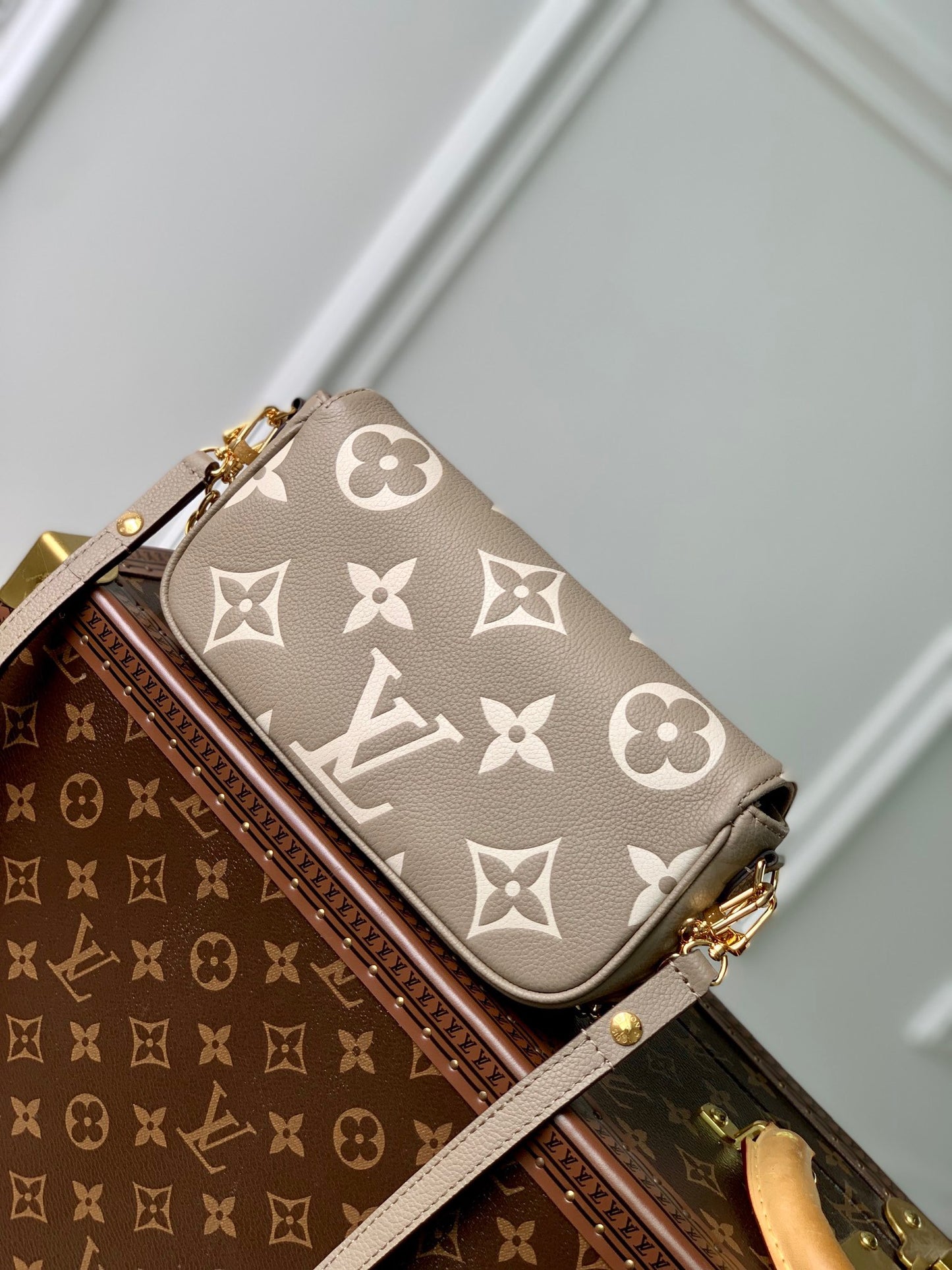 LOU IVY WALLET ON CHAIN BAG