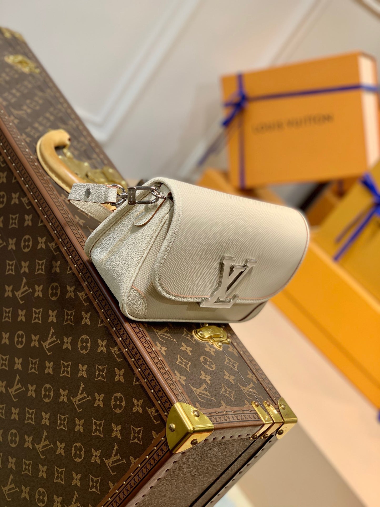 LOU BUCI BAG