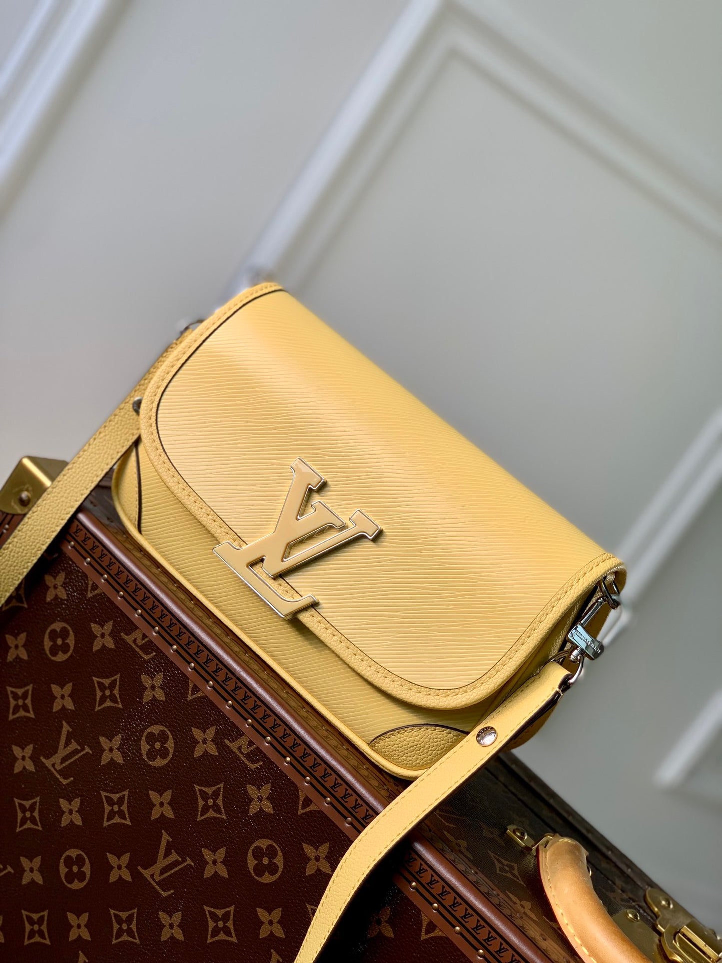 LOU BUCI BAG