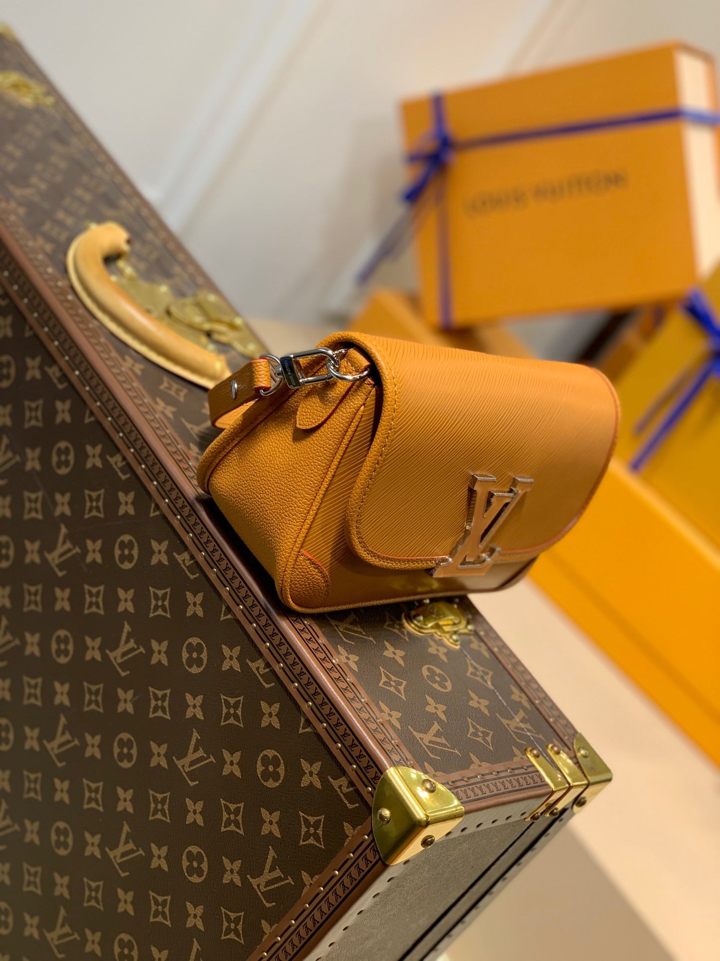 LOU BUCI BAG
