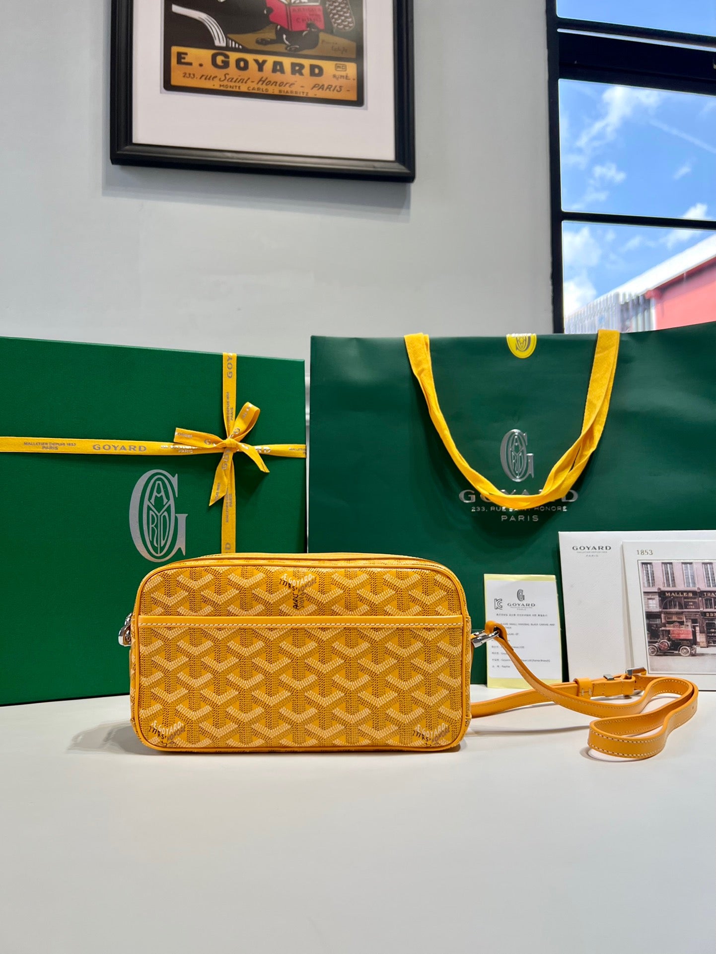 Goyard Cap Vert Bag