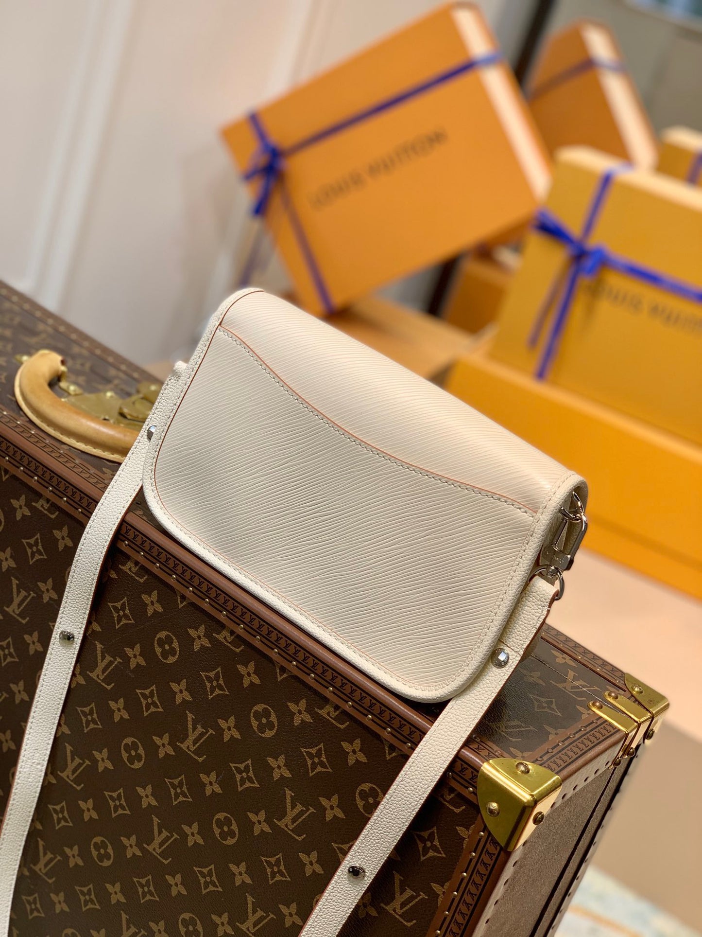 LOU BUCI BAG