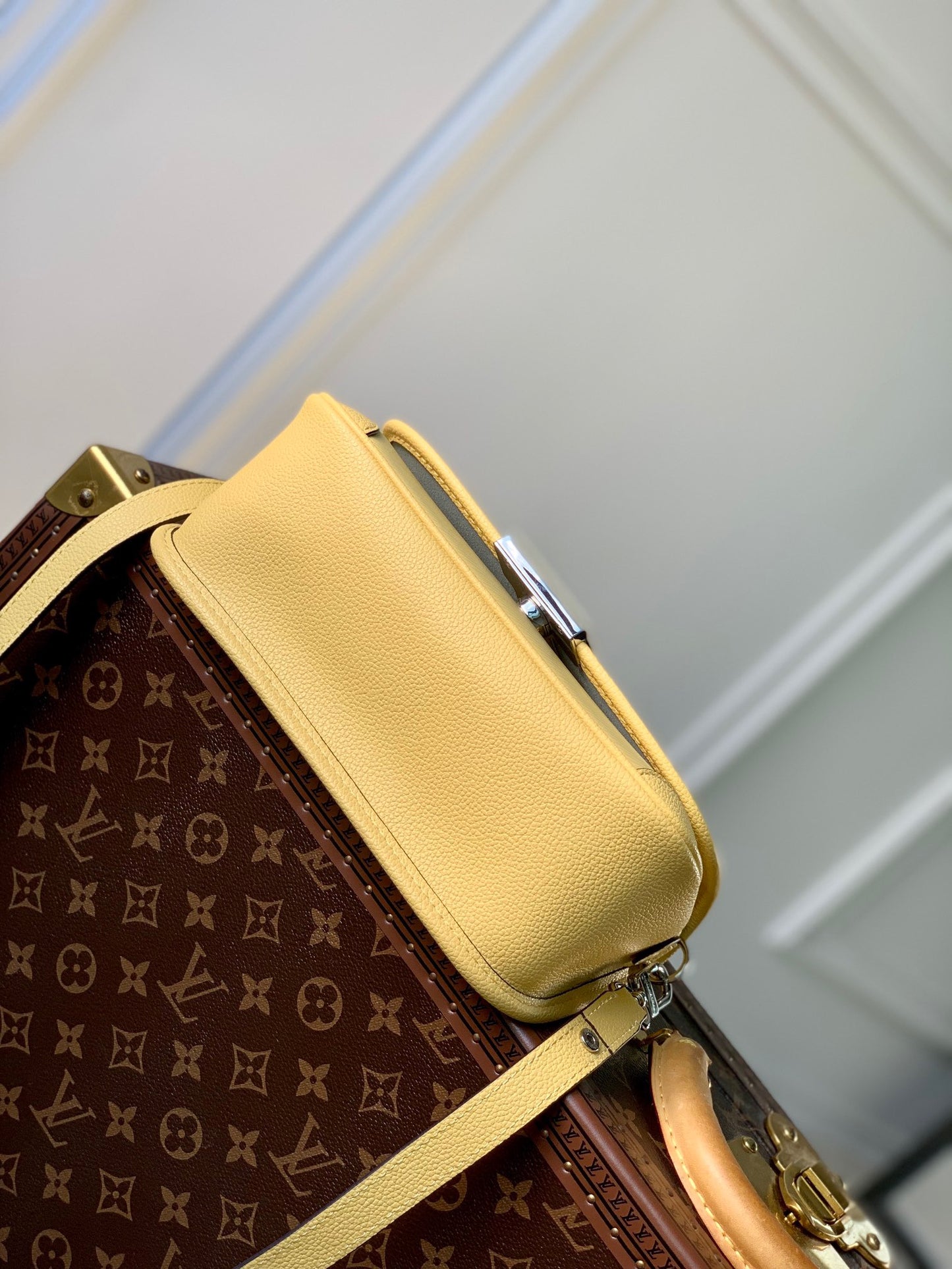 LOU BUCI BAG