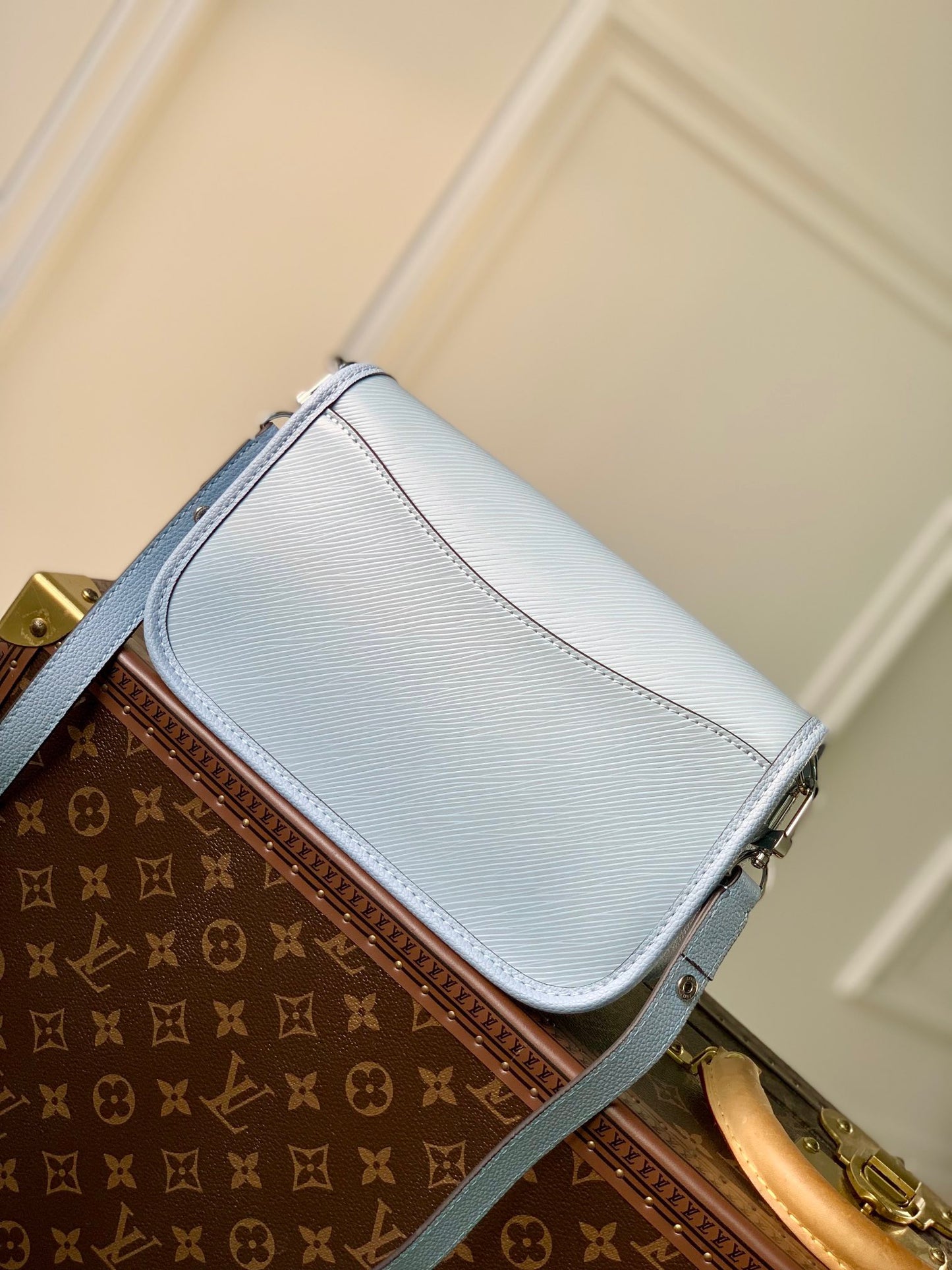 LOU BUCI BAG