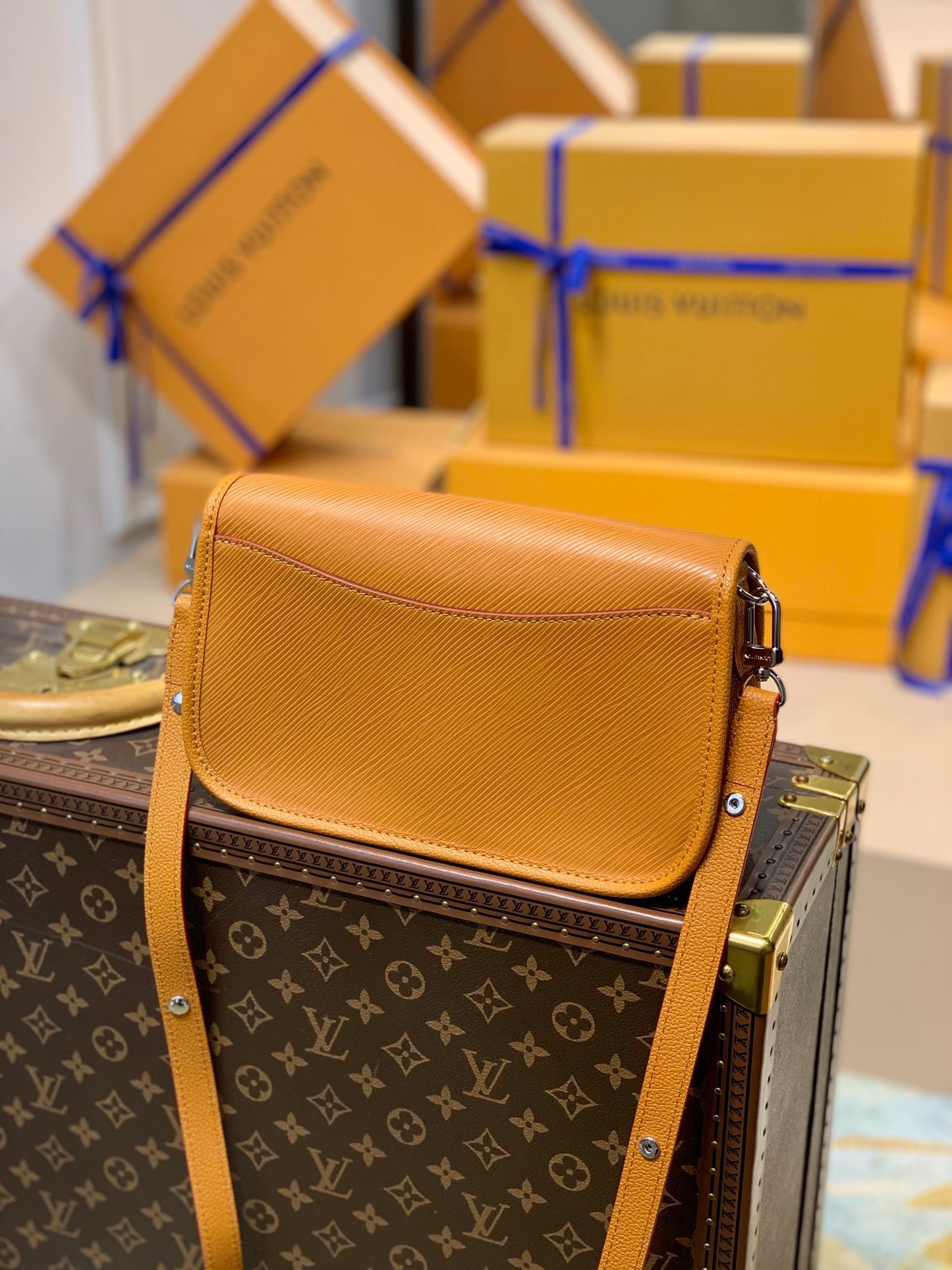 LOU BUCI BAG