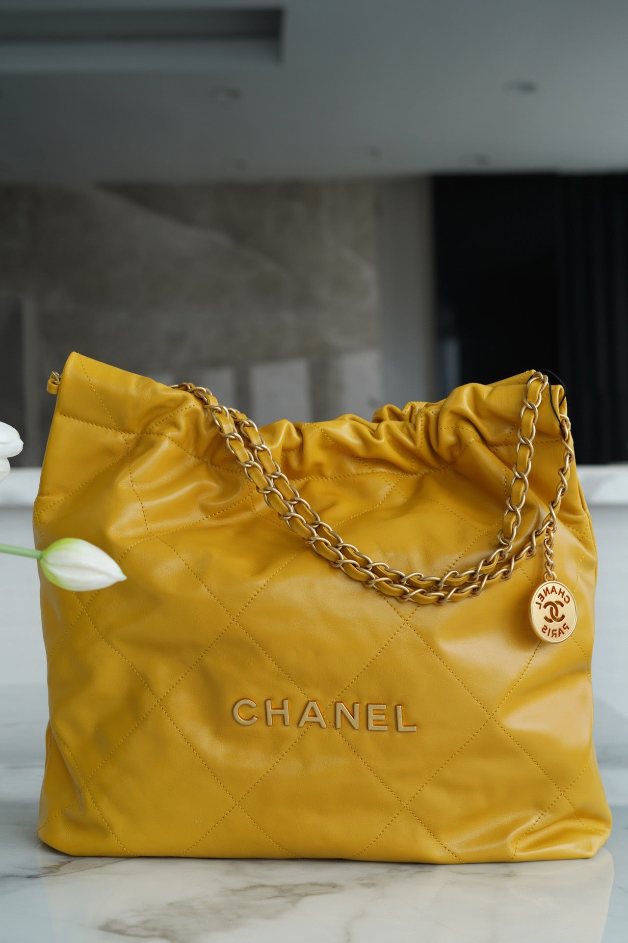 CC 22 SMALL HANDBAG