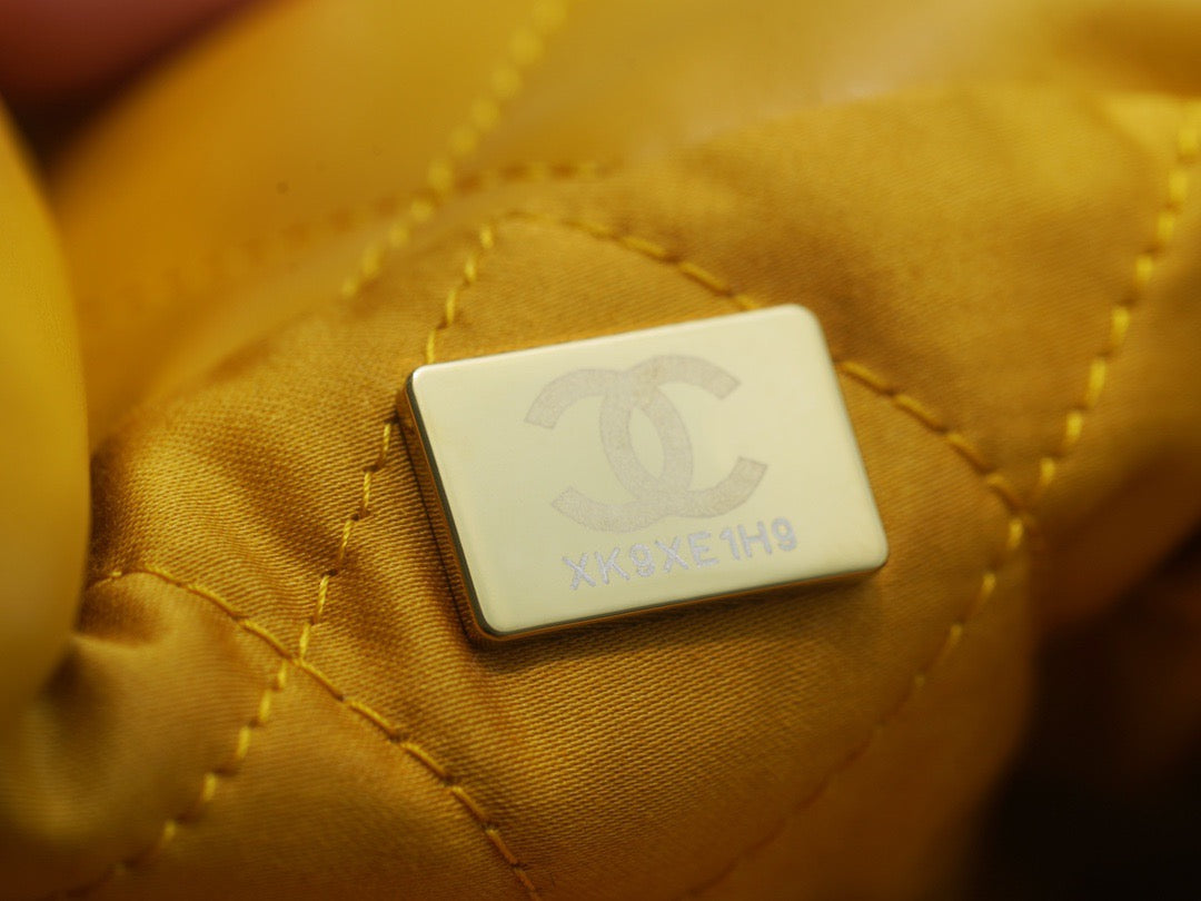 CC 22 SMALL HANDBAG