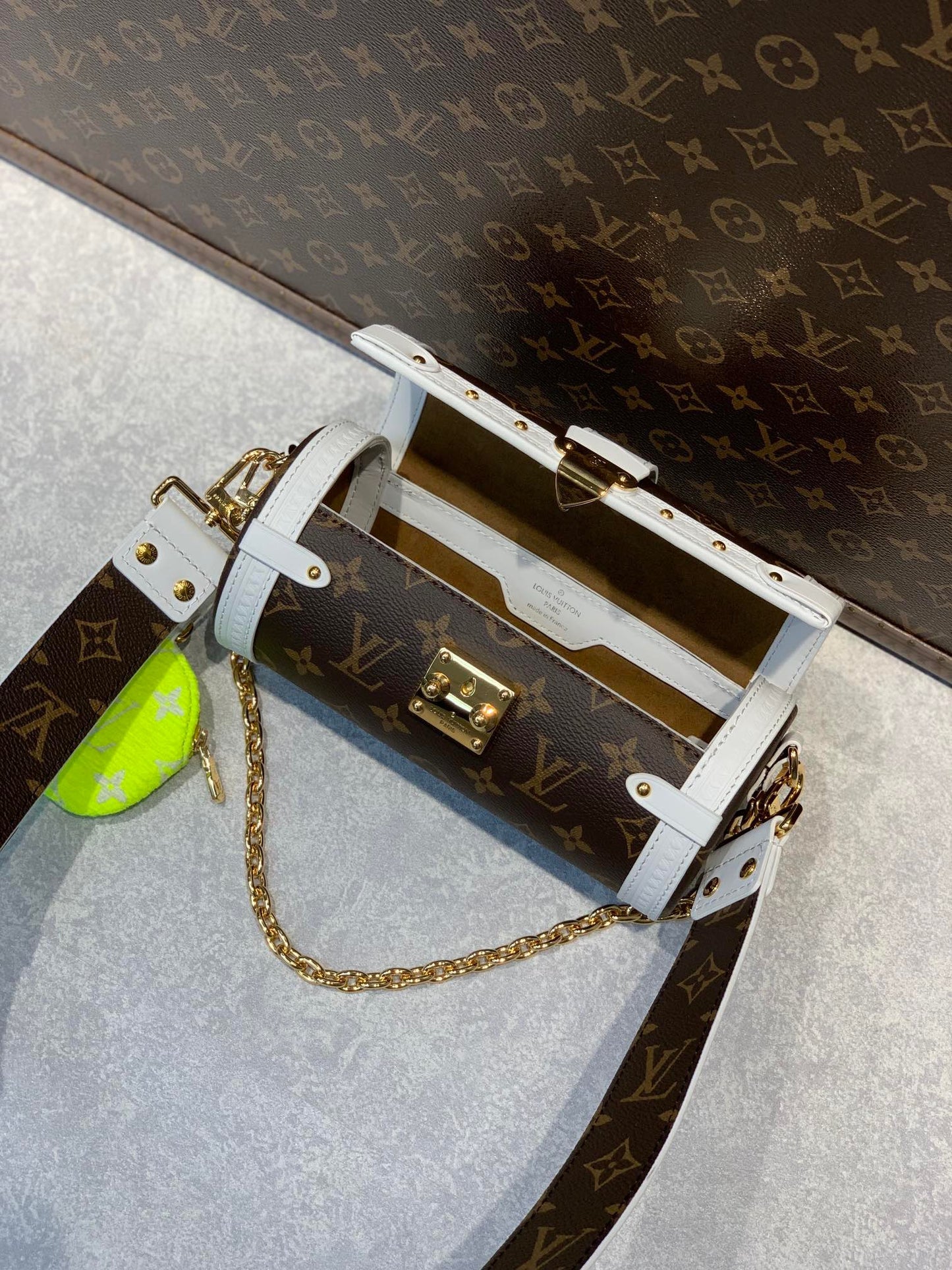 LOU PAPILLON TRUNK BAG