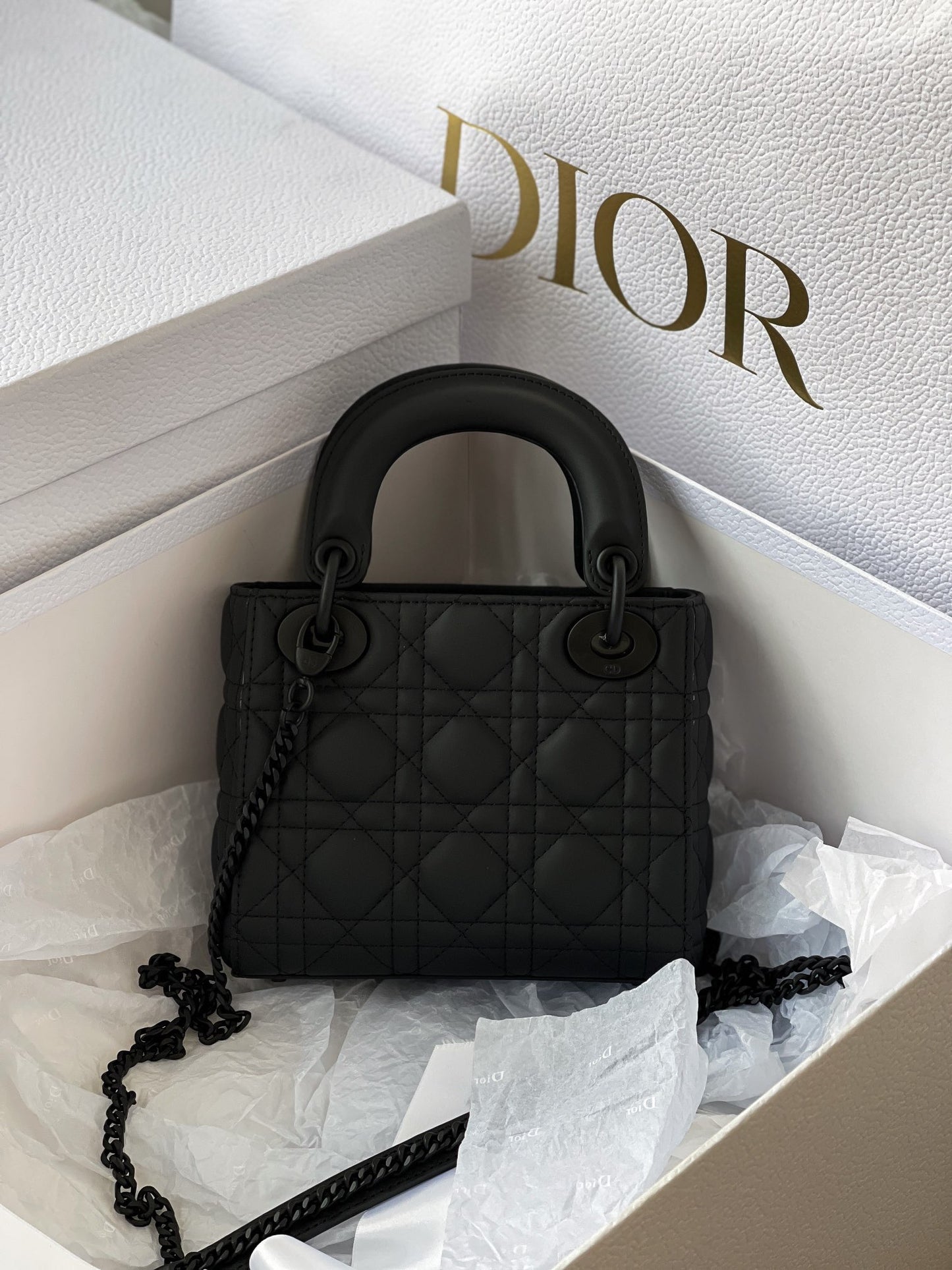 CD MINI LADY BAG