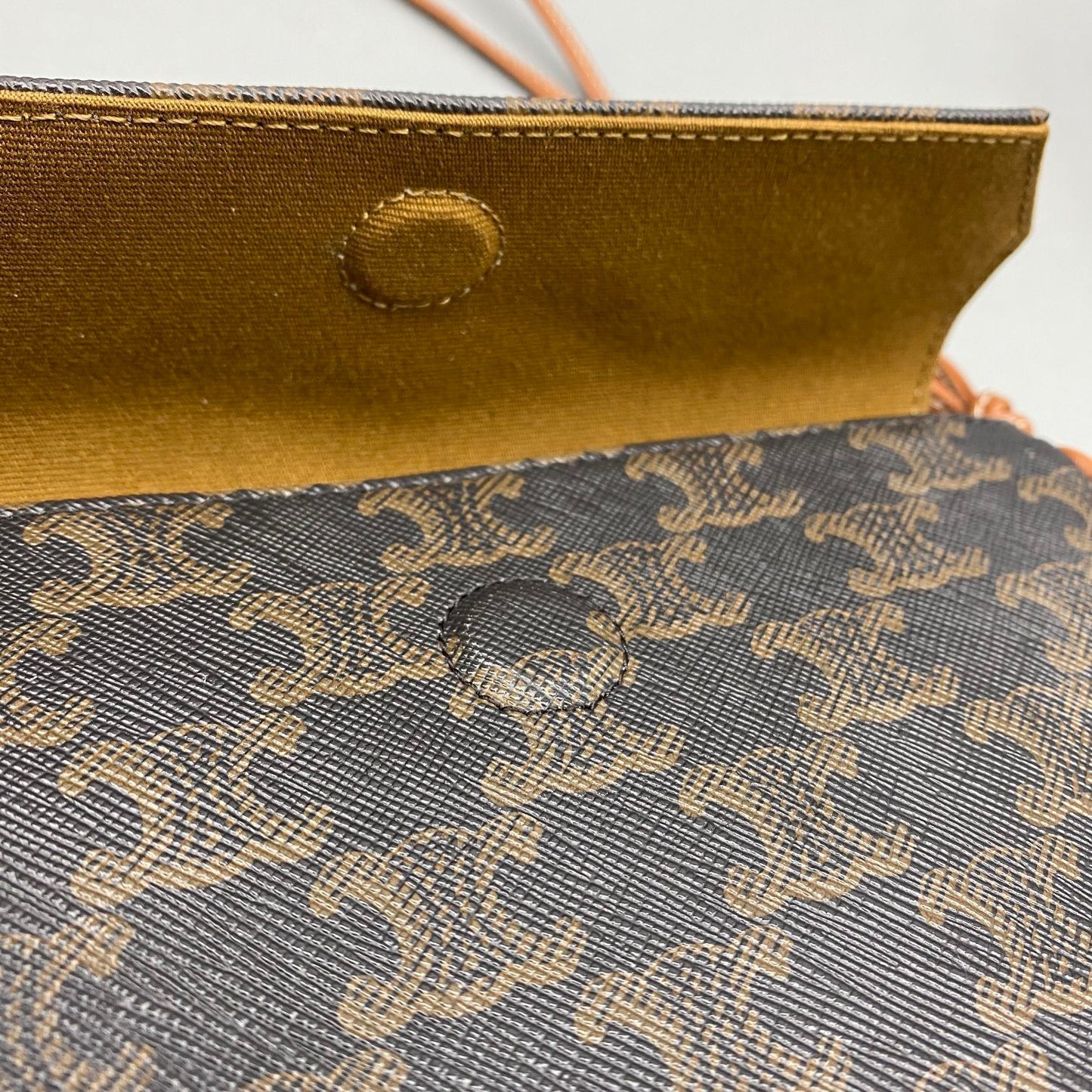 CEL TRIANGLE BAG IN TRIOMPHE CANVAS