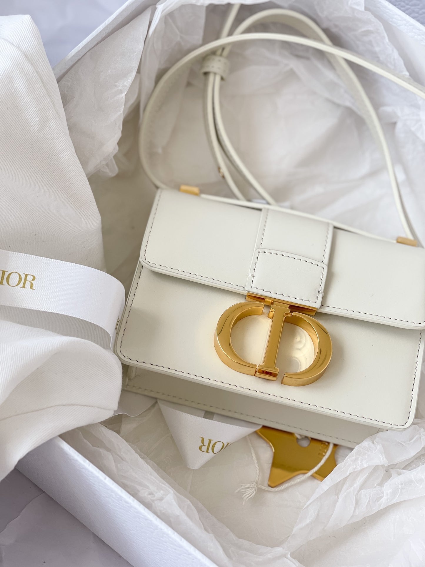 CD MICRO 30 MONTAIGNE BAG