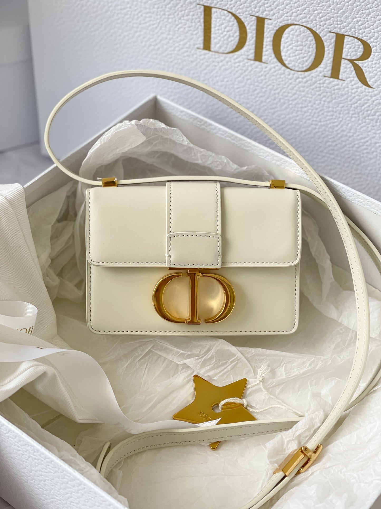 CD MICRO 30 MONTAIGNE BAG
