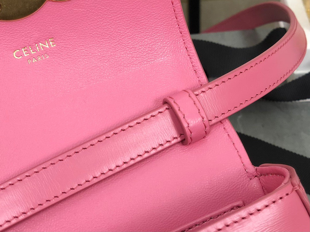 CEL MINI TRIOMPHE BAG
