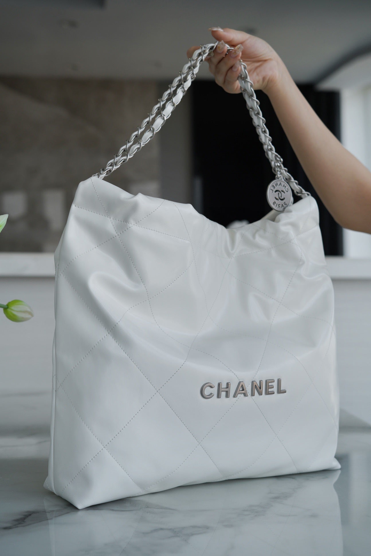 CC 22 SMALL HANDBAG