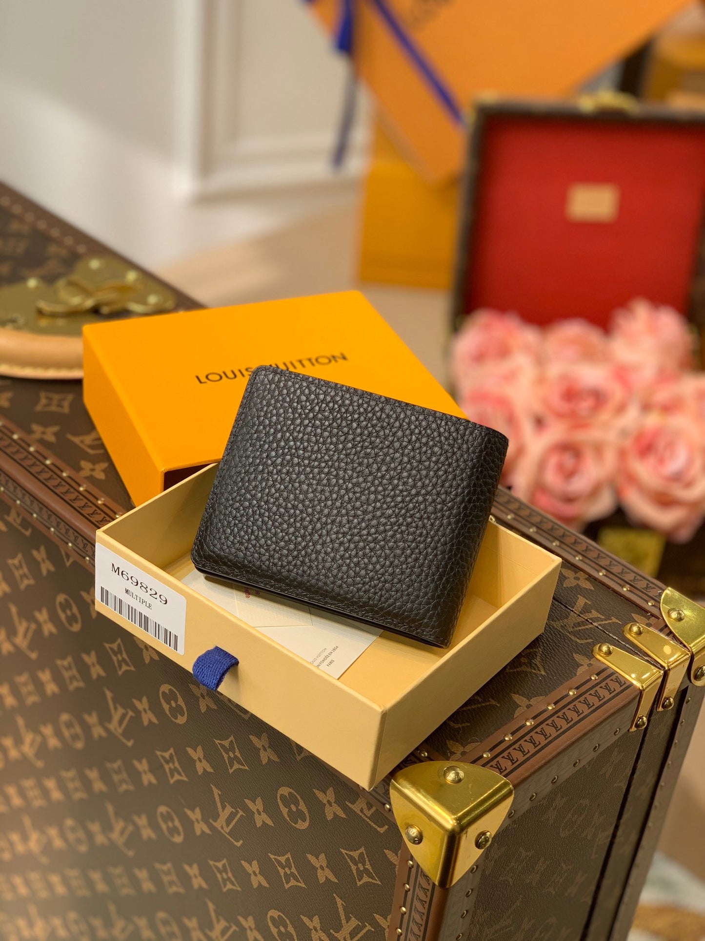 LOU AEROGRAM MULTIPLE WALLET