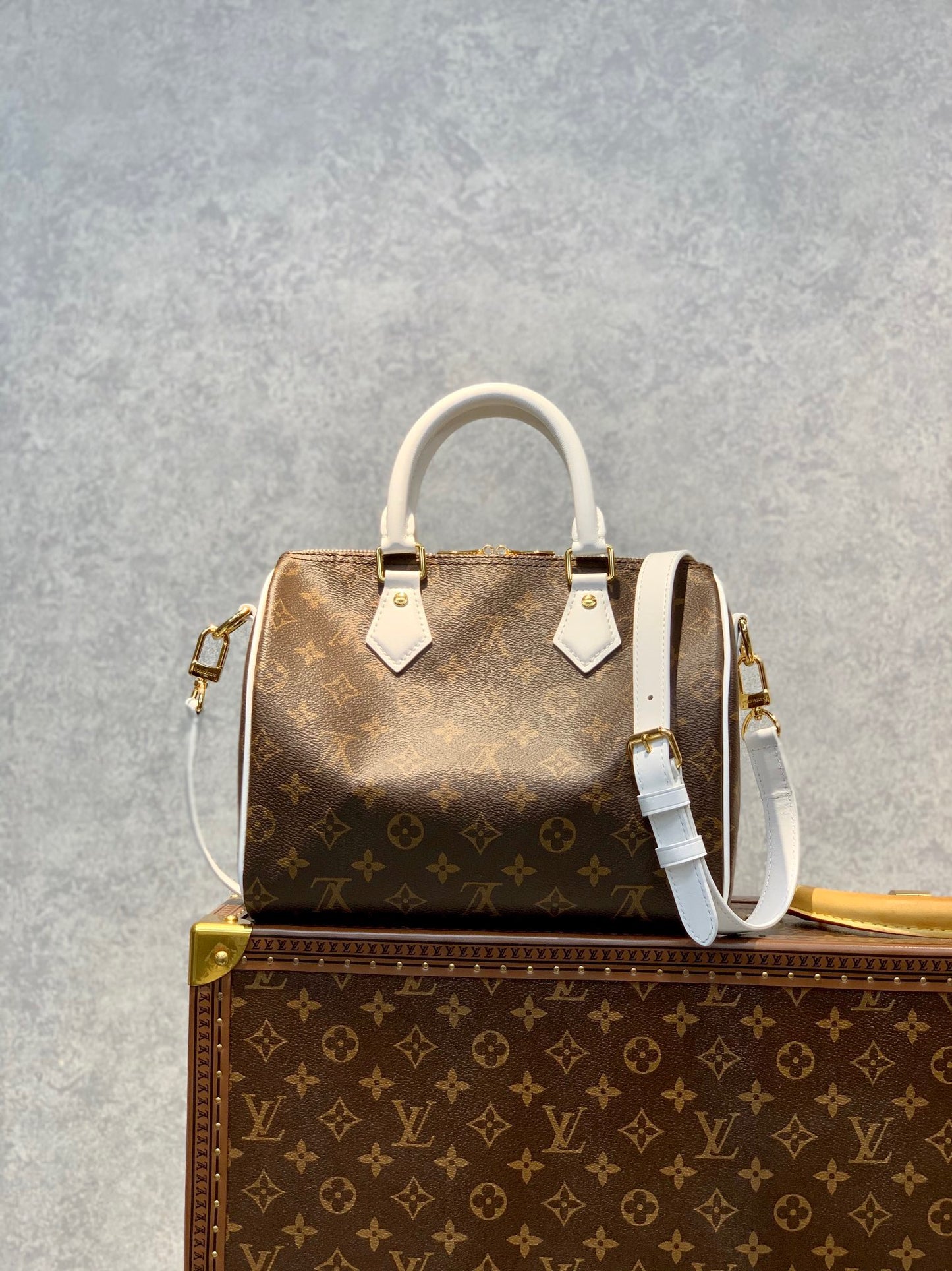 LOU SPEEDY BANDOULIÈRE 25 BAG