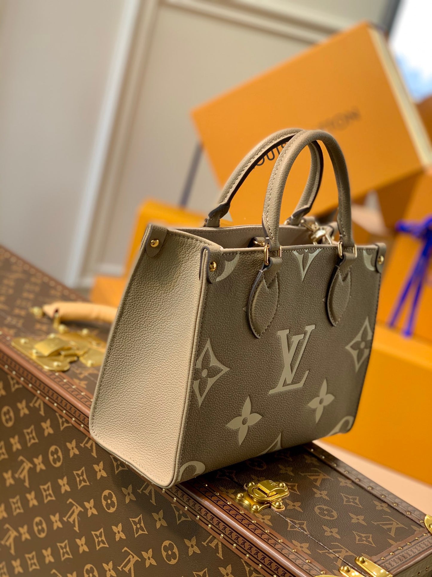 LOU ONTHEGO PM TOTE BAG